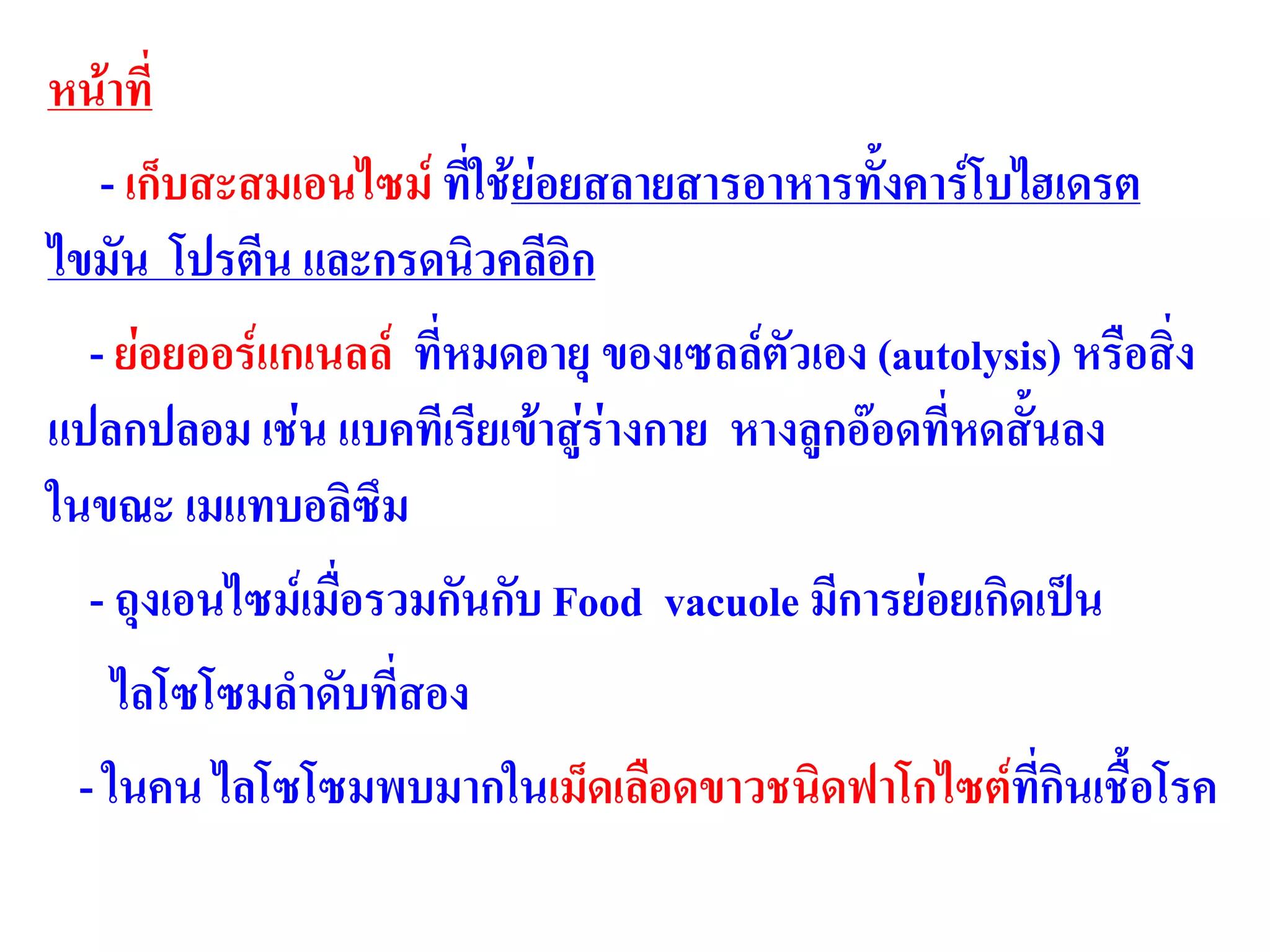หน้าที่
- เก็บสะสมเอนไซม์ ที่ใช้ย่อยสลายสารอาหารทั้งคาร์โบไฮเดรต
ไขมัน โปรตีน และกรดนิวคลีอิก
- ย่อยออร์แกเนลล์ ที่หมดอายุ ของเซลล์ตัวเอง (autolysis) หรือสิ่ง
แปลกปลอม เช่น แบคทีเรียเข้าสู่ร่างกาย หางลูกอ๊อดที่หดสั้นลง
ในขณะ เมแทบอลิซึม
- ถุงเอนไซม์เมื่อรวมกันกับ Food vacuole มีการย่อยเกิดเป็น
ไลโซโซมลาดับที่สอง
- ในคน ไลโซโซมพบมากในเม็ดเลือดขาวชนิดฟาโกไซต์ที่กินเชื้อโรค
 