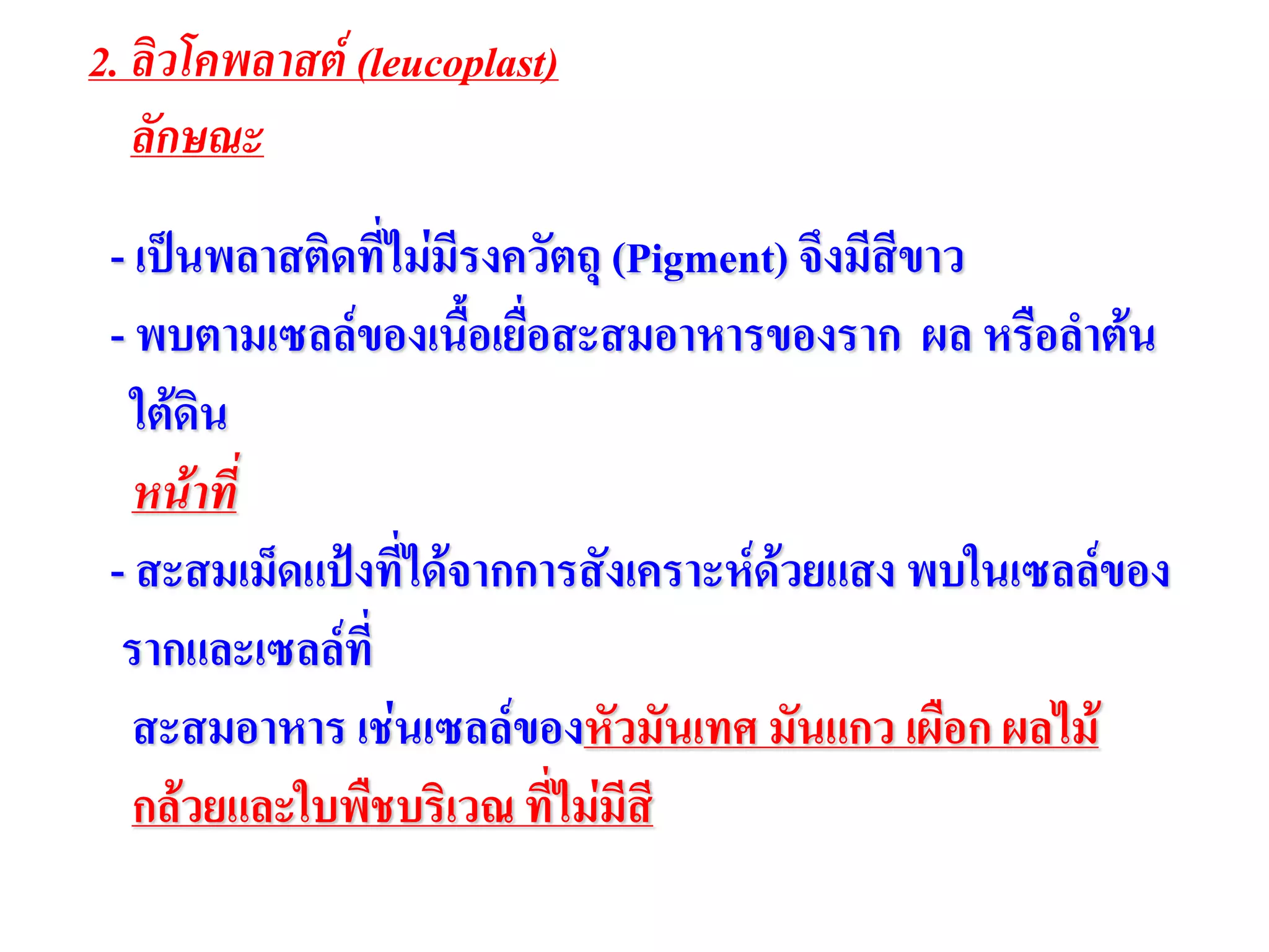 2. ลิวโคพลาสต์ (leucoplast)
ลักษณะ
- เป็นพลาสติดที่ไม่มีรงควัตถุ (Pigment) จึงมีสีขาว
- พบตามเซลล์ของเนื้อเยื่อสะสมอาหารของราก ผล หรือลาต้น
ใต้ดิน
หน้าที่
- สะสมเม็ดแป้งที่ได้จากการสังเคราะห์ด้วยแสง พบในเซลล์ของ
รากและเซลล์ที่
สะสมอาหาร เช่นเซลล์ของหัวมันเทศ มันแกว เผือก ผลไม้
กล้วยและใบพืชบริเวณ ที่ไม่มีสี
 