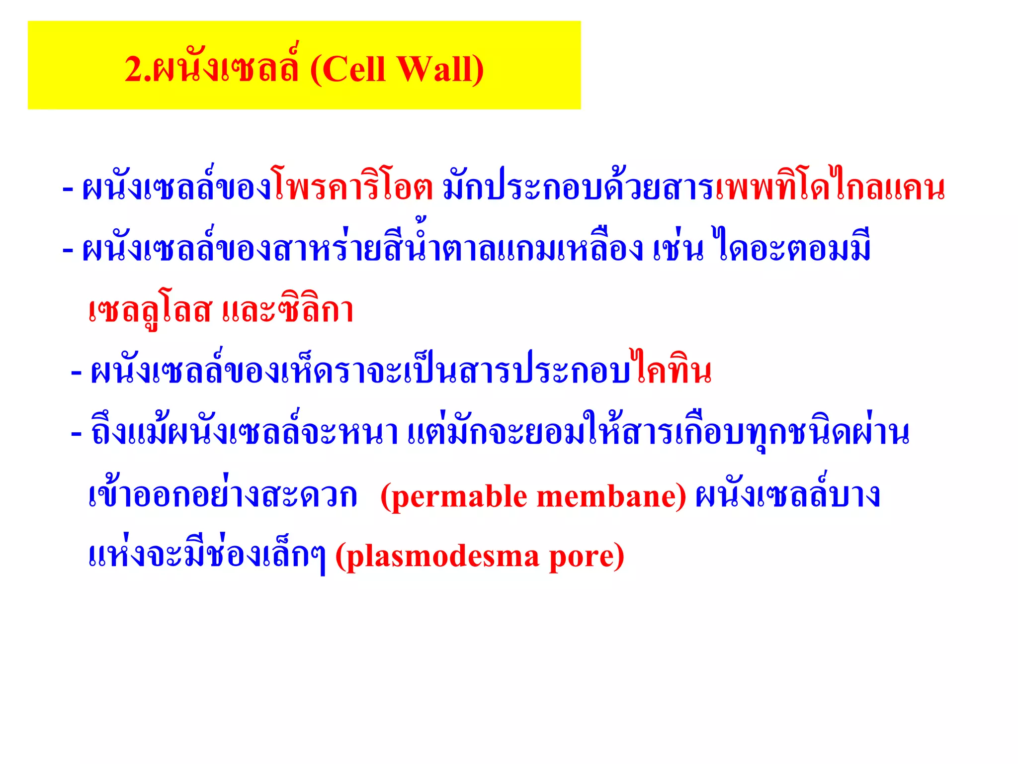 2.ผนังเซลล์ (Cell Wall)
- ผนังเซลล์ของโพรคาริโอต มักประกอบด้วยสารเพพทิโดไกลแคน
- ผนังเซลล์ของสาหร่ายสีน้าตาลแกมเหลือง เช่น ไดอะตอมมี
เซลลูโลส และซิลิกา
- ผนังเซลล์ของเห็ดราจะเป็นสารประกอบไคทิน
- ถึงแม้ผนังเซลล์จะหนา แต่มักจะยอมให้สารเกือบทุกชนิดผ่าน
เข้าออกอย่างสะดวก (permable membane) ผนังเซลล์บาง
แห่งจะมีช่องเล็กๆ (plasmodesma pore)
 
