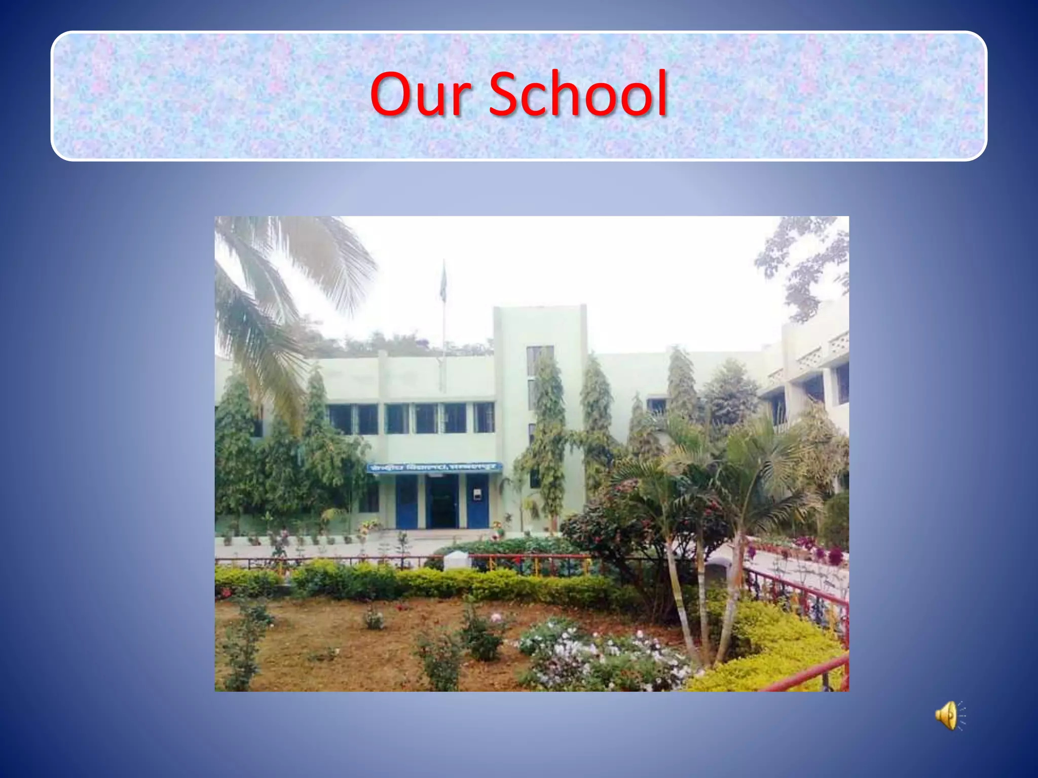 Our School
 