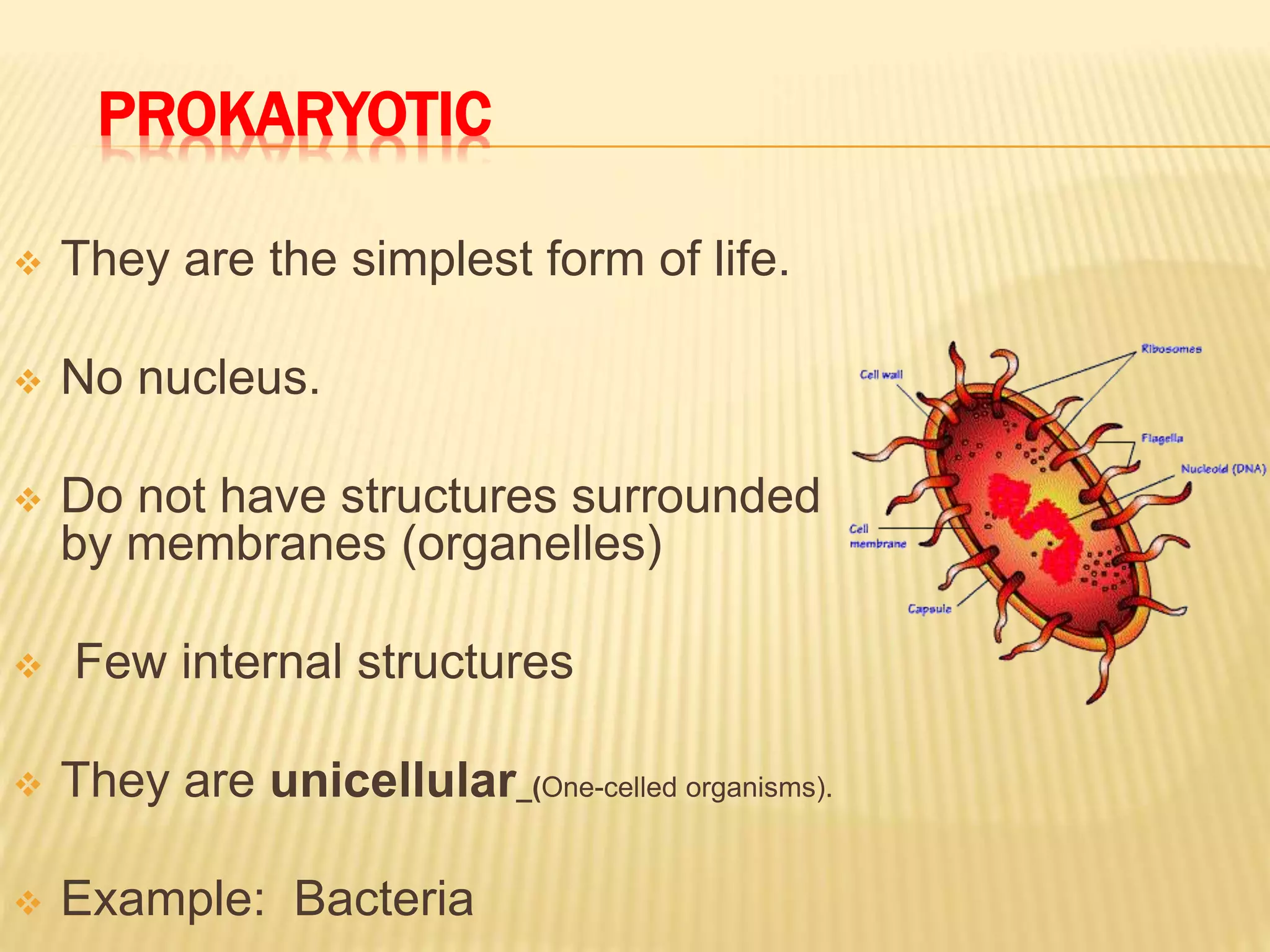 PROKARYOTIC
 They are the simplest form of life.
 No nucleus.
 Do not have structures surrounded
by membranes (organelles)
 Few internal structures
 They are unicellular_(One-celled organisms).
 Example: Bacteria
 