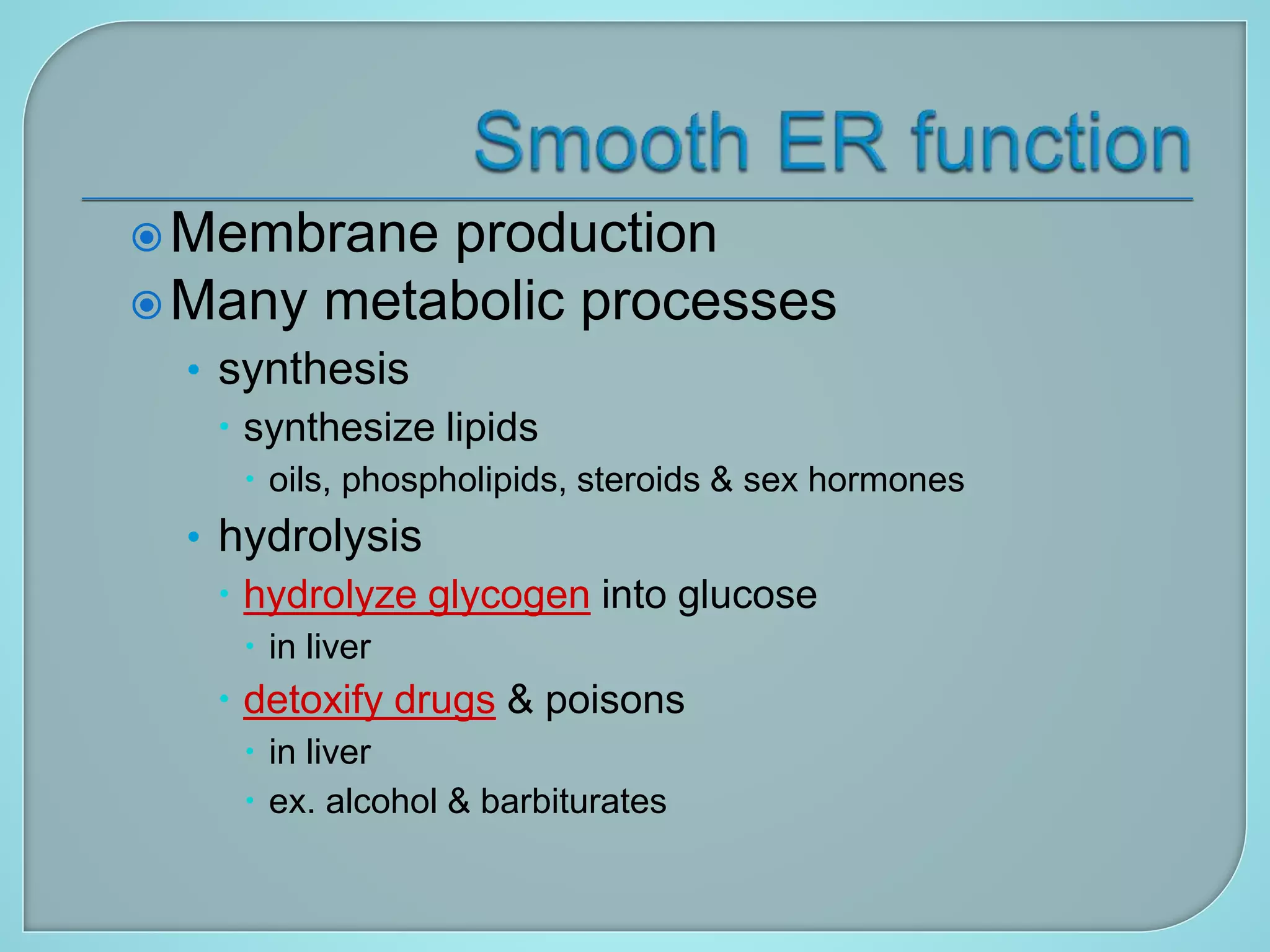 Membrane production
Many metabolic processes
• synthesis
 synthesize lipids
 oils, phospholipids, steroids & sex hormones
• hydrolysis
 hydrolyze glycogen into glucose
 in liver
 detoxify drugs & poisons
 in liver
 ex. alcohol & barbiturates
 