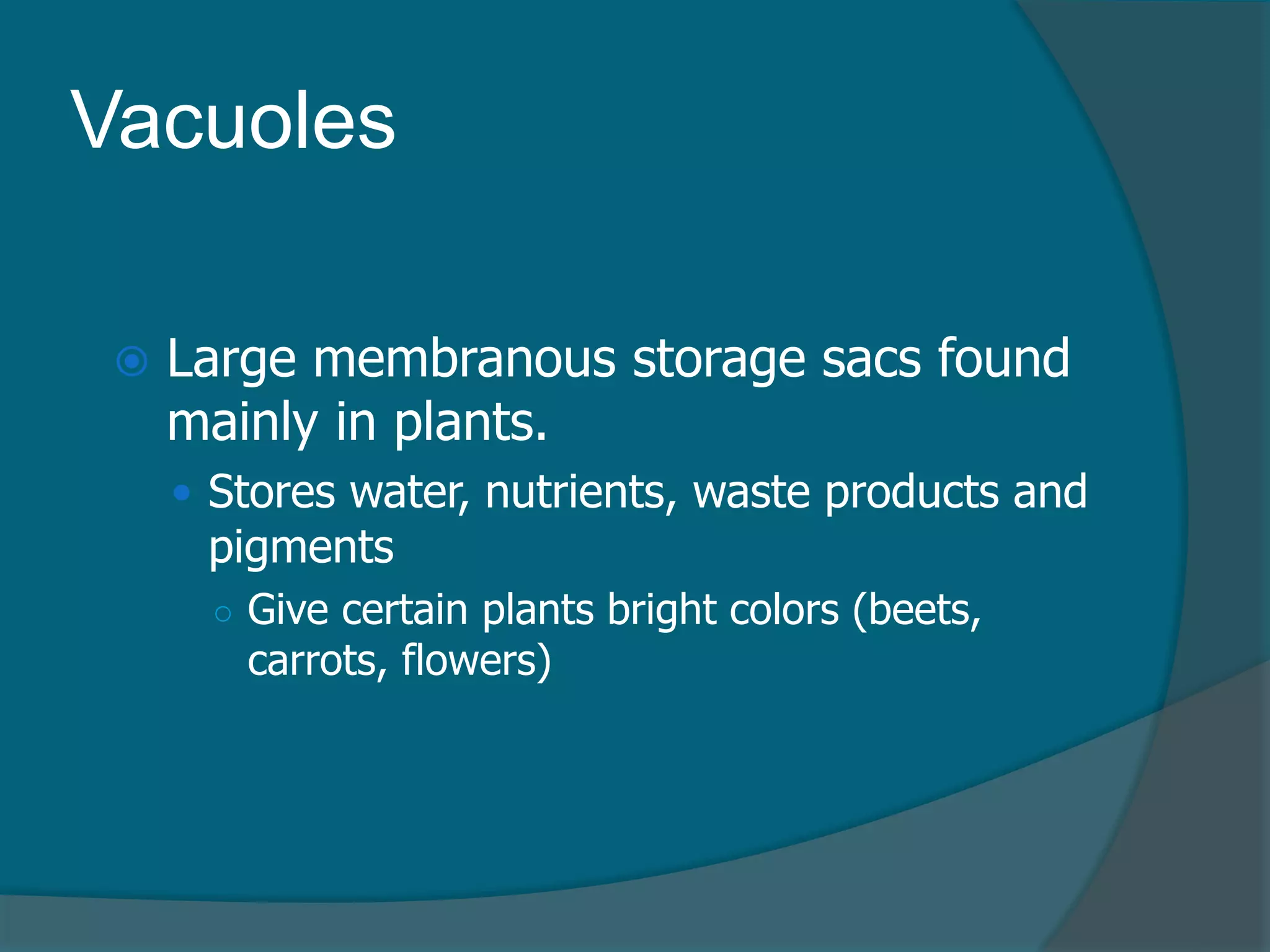 Vacuoles
 Large membranous storage sacs found
mainly in plants.
 Stores water, nutrients, waste products and
pigments
○ Give certain plants bright colors (beets,
carrots, flowers)
 