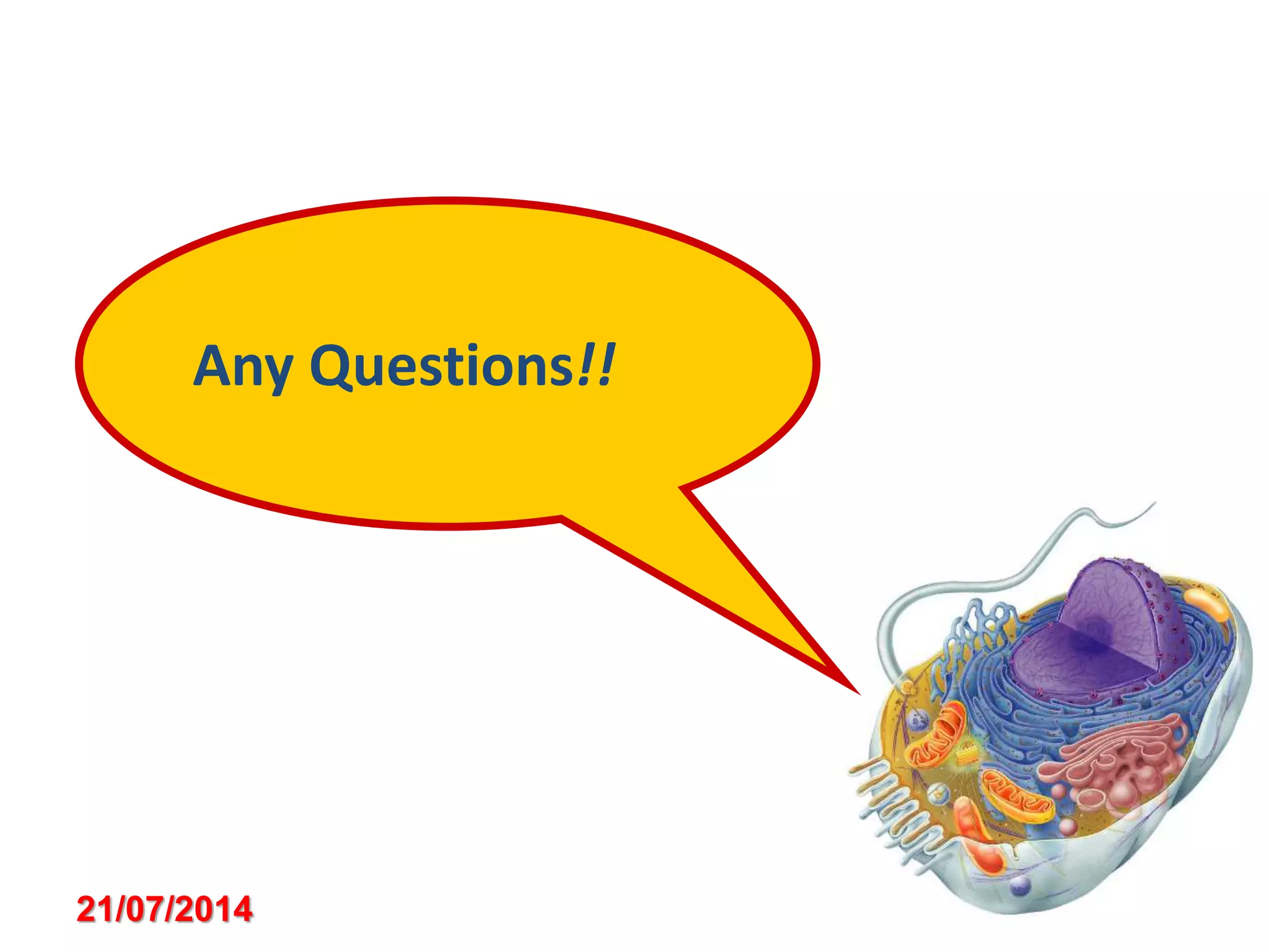 21/07/2014
Any Questions!!
 