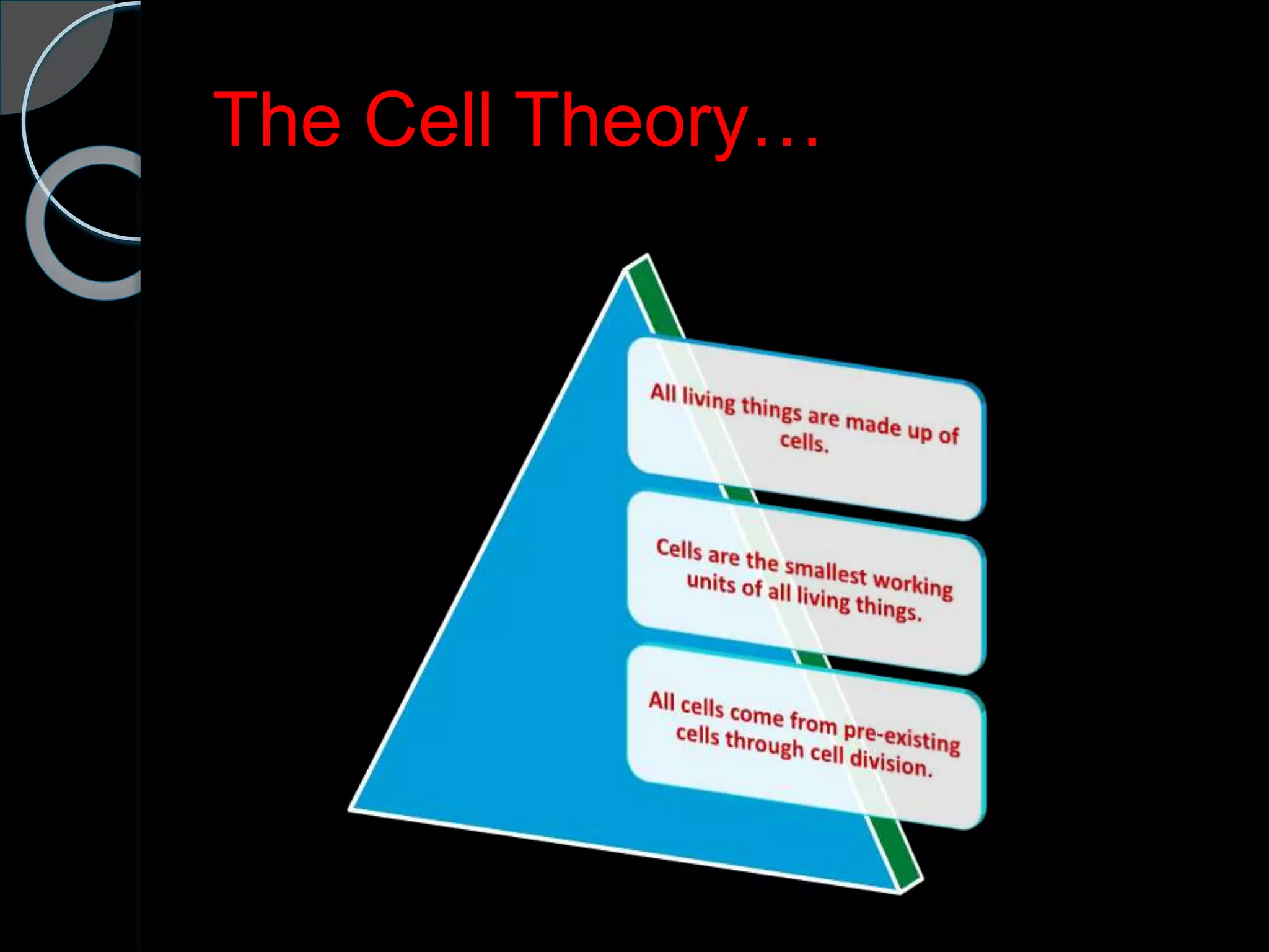 The Cell Theory…
 
