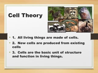 3 
Cell Theory 
• 1. All living things are made of cells. 
• 2. New cells are produced from existing 
cells 
• 3. Cells are the basic unit of structure 
and function in living things. 
 