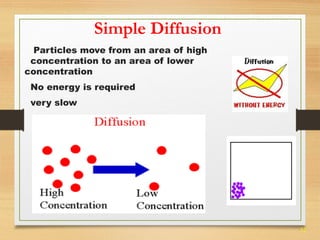 32 
Simple Diffusion 
Particles move from an area of high 
concentration to an area of lower 
concentration 
No energy is required 
very slow 
 