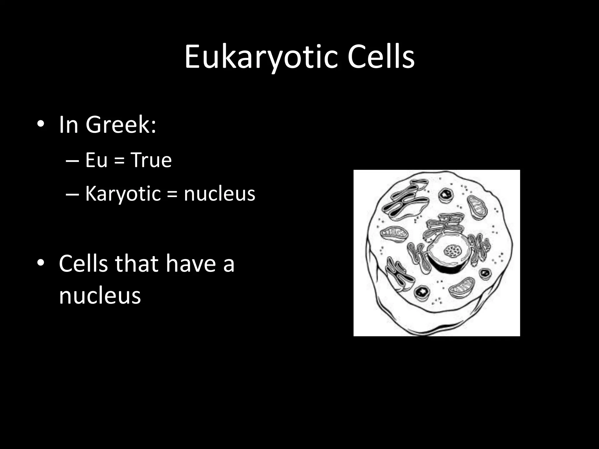 Is A Vacuole Prokaryotic Or Eukaryotic? The Ultimate Cell Debate! - s3p3cov