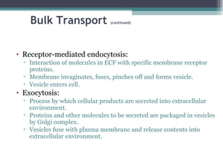 Bulk Transport (continued)
• Receptor-mediated endocytosis:
▫ Interaction of molecules in ECF with specific membrane receptor
proteins.
▫ Membrane invaginates, fuses, pinches off and forms vesicle.
▫ Vesicle enters cell.
• Exocytosis:
▫ Process by which cellular products are secreted into extracellular
environment.
▫ Proteins and other molecules to be secreted are packaged in vesicles
by Golgi complex.
▫ Vesicles fuse with plasma membrane and release contents into
extracellular environment.
 