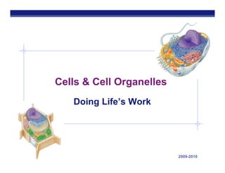 2009-2010AP Biology
Cells & Cell Organelles
Doing Life’s Work
 