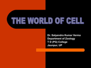Dr. Satyendra Kumar Verma
Department of Zoology
T D (PG) College
Jaunpur, UP
 