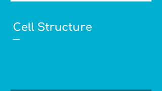 Cell Structure
 