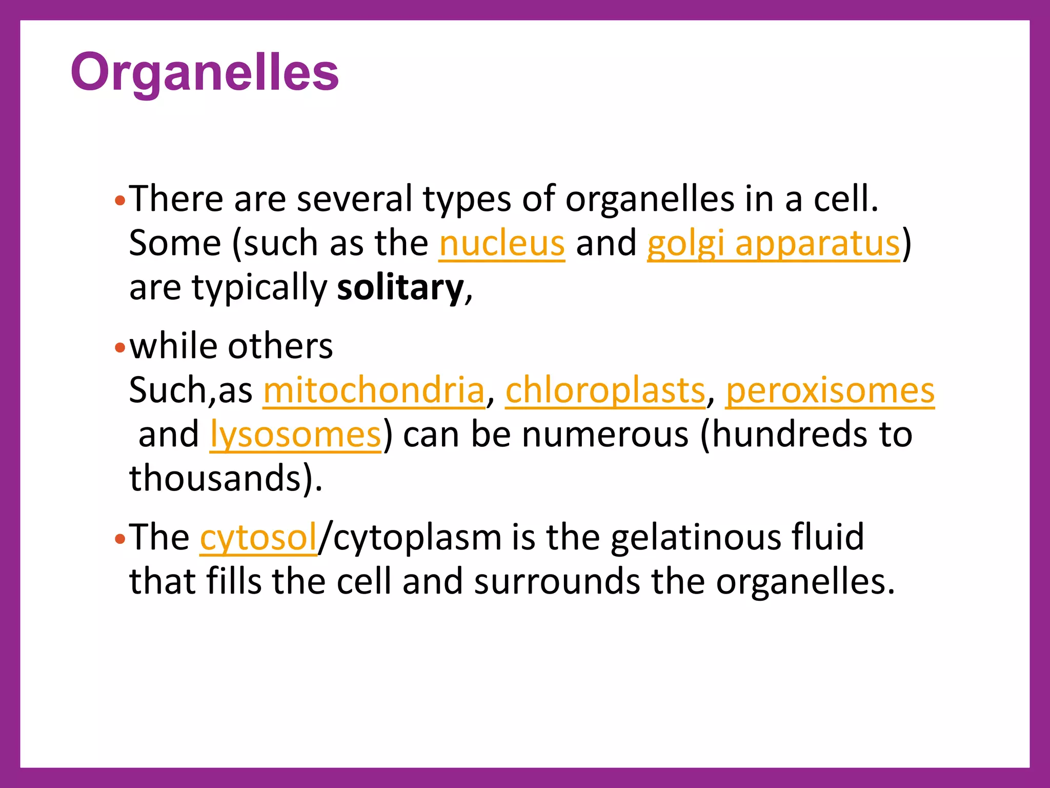 •There are several types of organelles in a cell.
Some (such as the nucleus and golgi apparatus)
are typically solitary,
•while others
Such,as mitochondria, chloroplasts, peroxisomes
and lysosomes) can be numerous (hundreds to
thousands).
•The cytosol/cytoplasm is the gelatinous fluid
that fills the cell and surrounds the organelles.
Organelles
 