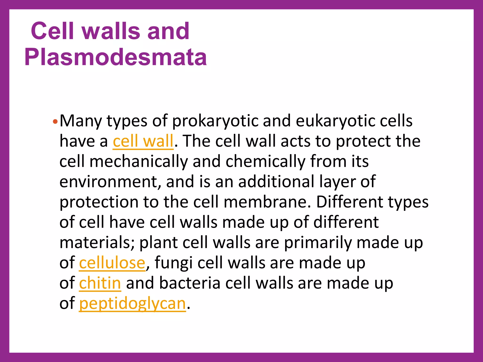 •Many types of prokaryotic and eukaryotic cells
have a cell wall. The cell wall acts to protect the
cell mechanically and chemically from its
environment, and is an additional layer of
protection to the cell membrane. Different types
of cell have cell walls made up of different
materials; plant cell walls are primarily made up
of cellulose, fungi cell walls are made up
of chitin and bacteria cell walls are made up
of peptidoglycan.
Cell walls and
Plasmodesmata
 