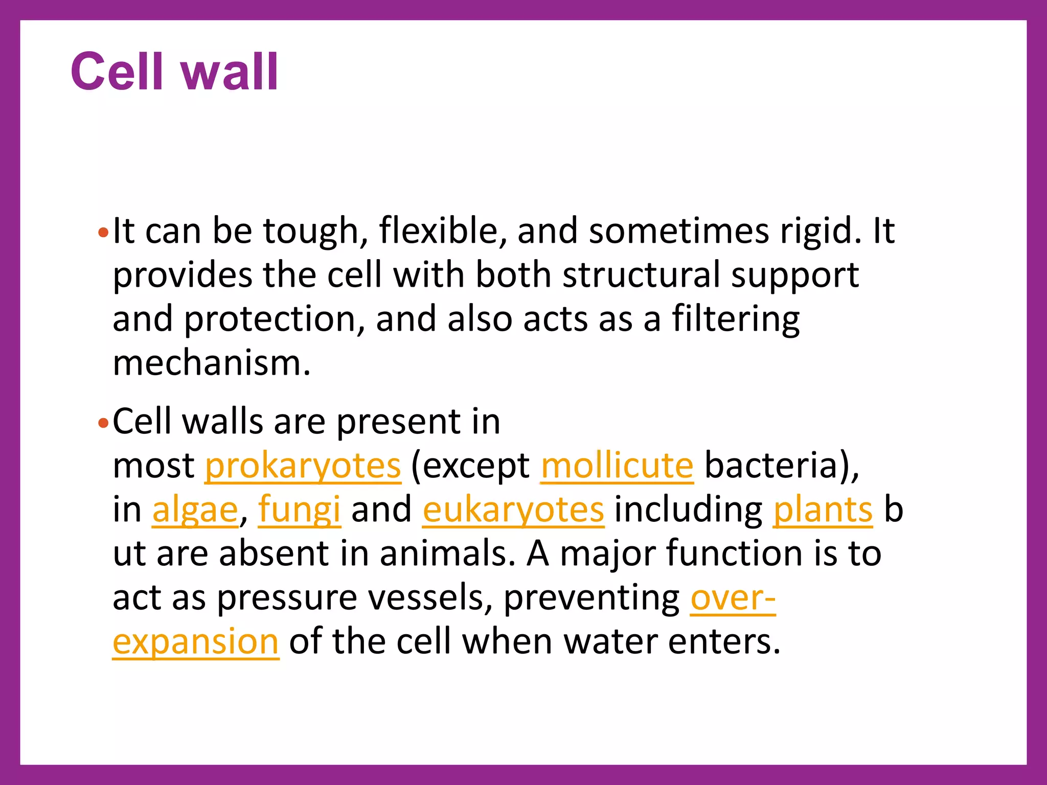•It can be tough, flexible, and sometimes rigid. It
provides the cell with both structural support
and protection, and also acts as a filtering
mechanism.
•Cell walls are present in
most prokaryotes (except mollicute bacteria),
in algae, fungi and eukaryotes including plants b
ut are absent in animals. A major function is to
act as pressure vessels, preventing over-
expansion of the cell when water enters.
Cell wall
 