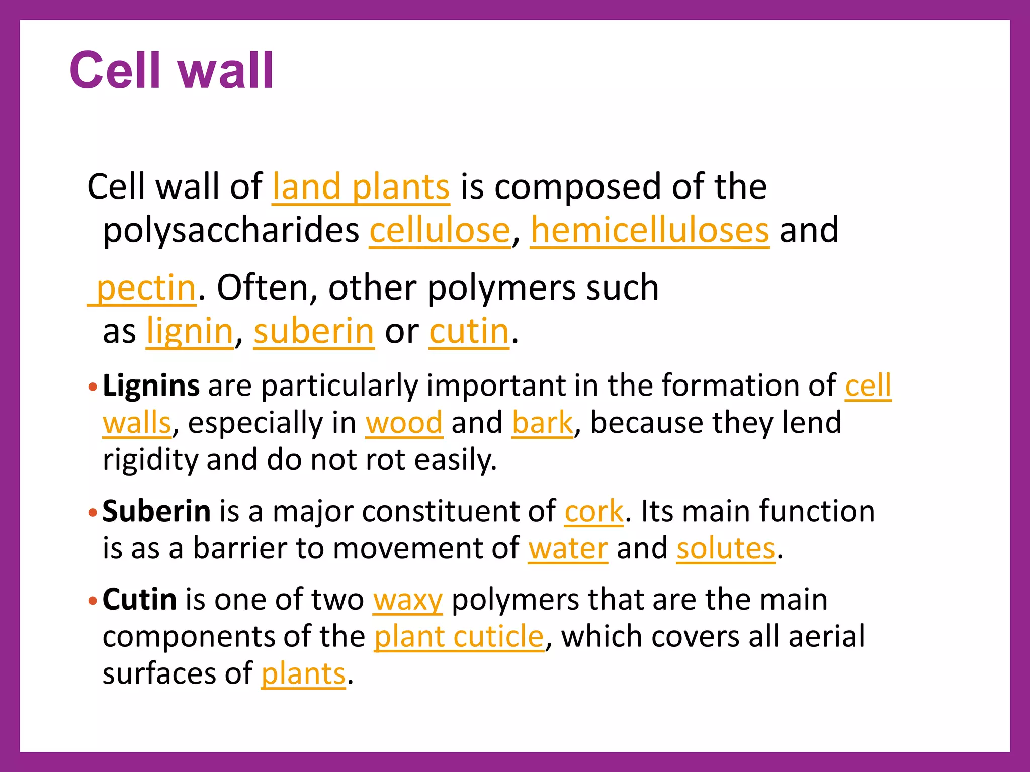 Cell wall of land plants is composed of the
polysaccharides cellulose, hemicelluloses and
pectin. Often, other polymers such
as lignin, suberin or cutin.
•Lignins are particularly important in the formation of cell
walls, especially in wood and bark, because they lend
rigidity and do not rot easily.
•Suberin is a major constituent of cork. Its main function
is as a barrier to movement of water and solutes.
•Cutin is one of two waxy polymers that are the main
components of the plant cuticle, which covers all aerial
surfaces of plants.
Cell wall
 