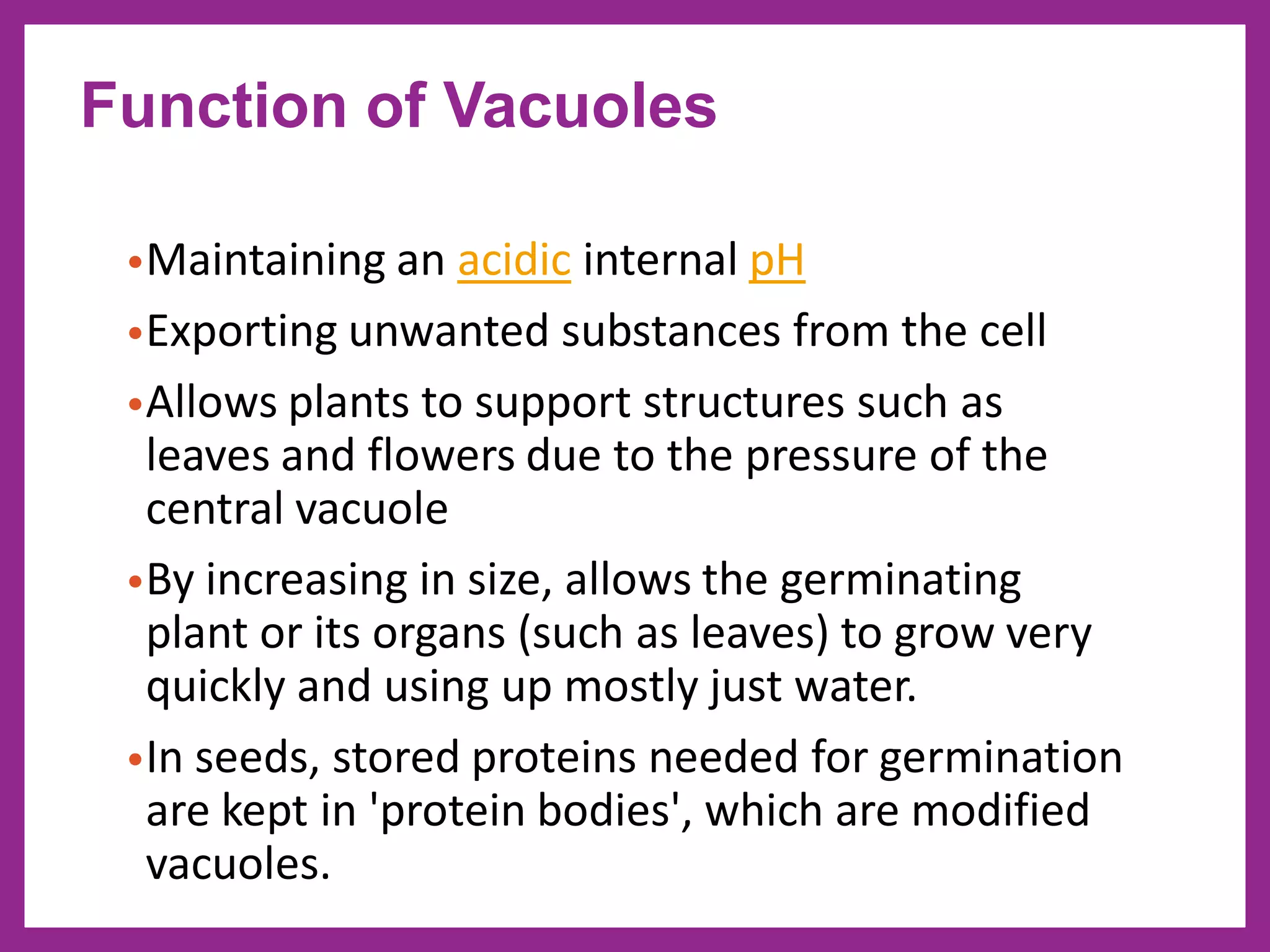 •Maintaining an acidic internal pH
•Exporting unwanted substances from the cell
•Allows plants to support structures such as
leaves and flowers due to the pressure of the
central vacuole
•By increasing in size, allows the germinating
plant or its organs (such as leaves) to grow very
quickly and using up mostly just water.
•In seeds, stored proteins needed for germination
are kept in 'protein bodies', which are modified
vacuoles.
Function of Vacuoles
 