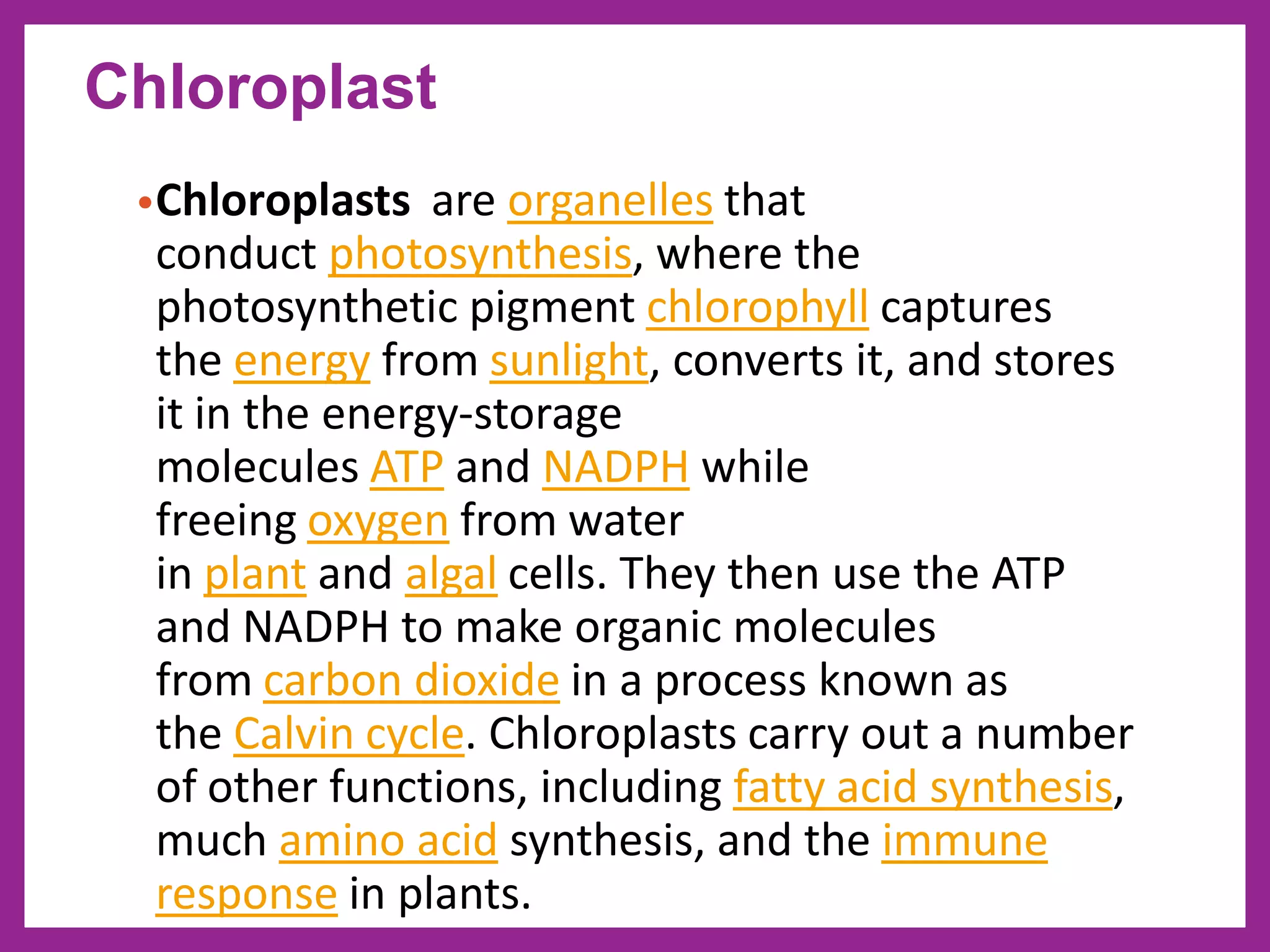 •Chloroplasts are organelles that
conduct photosynthesis, where the
photosynthetic pigment chlorophyll captures
the energy from sunlight, converts it, and stores
it in the energy-storage
molecules ATP and NADPH while
freeing oxygen from water
in plant and algal cells. They then use the ATP
and NADPH to make organic molecules
from carbon dioxide in a process known as
the Calvin cycle. Chloroplasts carry out a number
of other functions, including fatty acid synthesis,
much amino acid synthesis, and the immune
response in plants.
Chloroplast
 