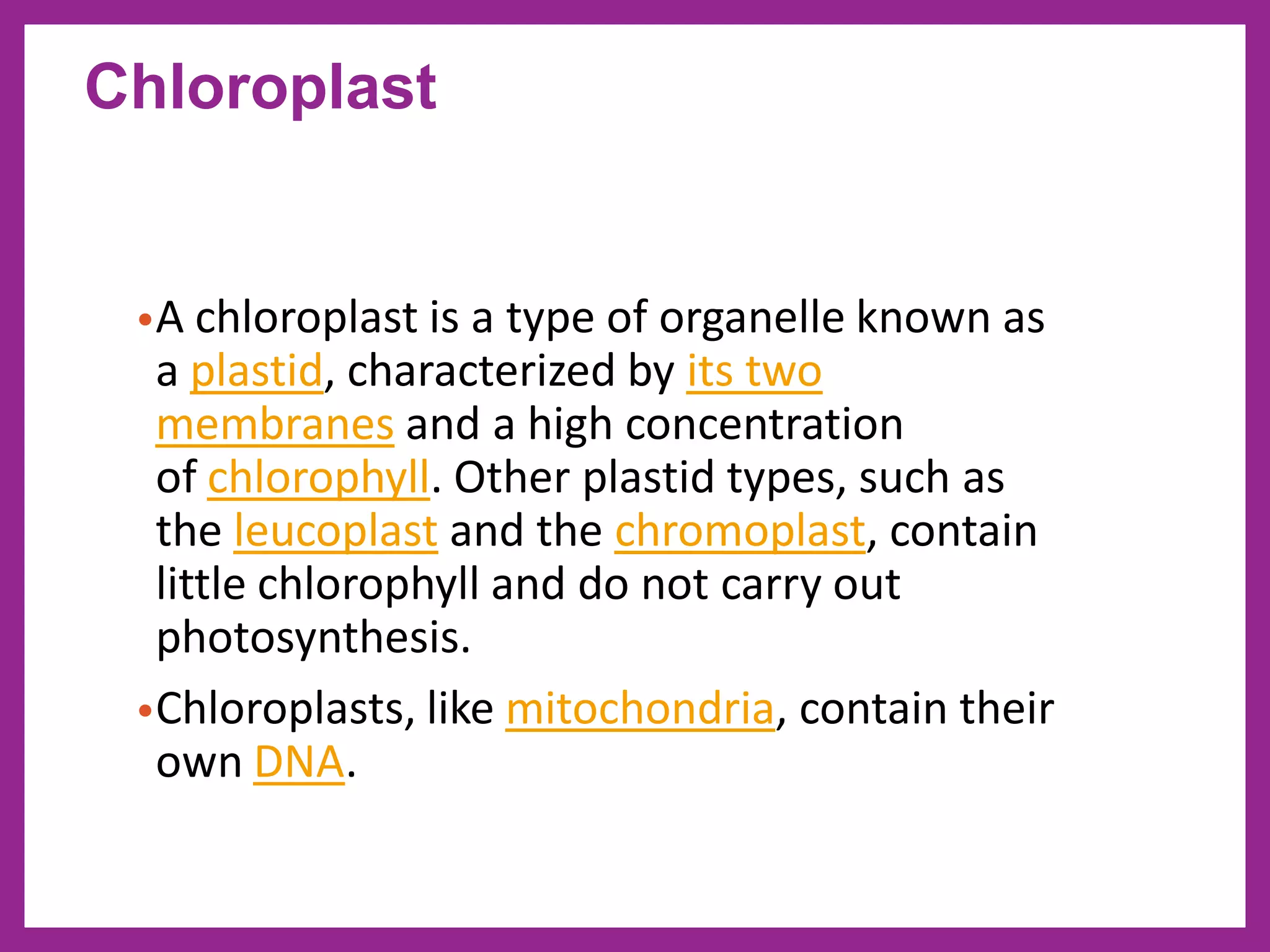 •A chloroplast is a type of organelle known as
a plastid, characterized by its two
membranes and a high concentration
of chlorophyll. Other plastid types, such as
the leucoplast and the chromoplast, contain
little chlorophyll and do not carry out
photosynthesis.
•Chloroplasts, like mitochondria, contain their
own DNA.
Chloroplast
 