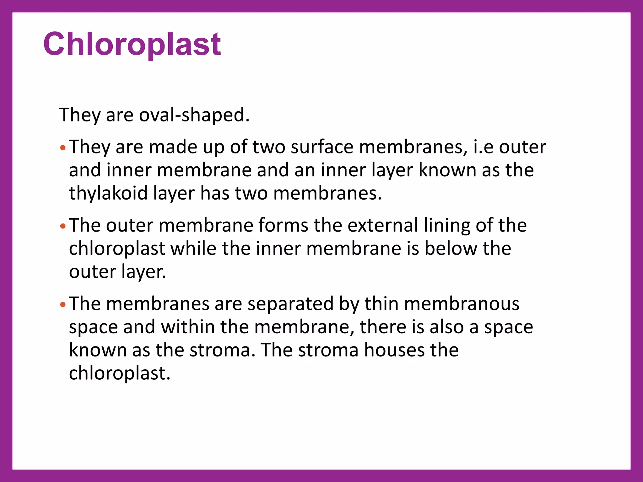They are oval-shaped.
•They are made up of two surface membranes, i.e outer
and inner membrane and an inner layer known as the
thylakoid layer has two membranes.
•The outer membrane forms the external lining of the
chloroplast while the inner membrane is below the
outer layer.
•The membranes are separated by thin membranous
space and within the membrane, there is also a space
known as the stroma. The stroma houses the
chloroplast.
Chloroplast
 