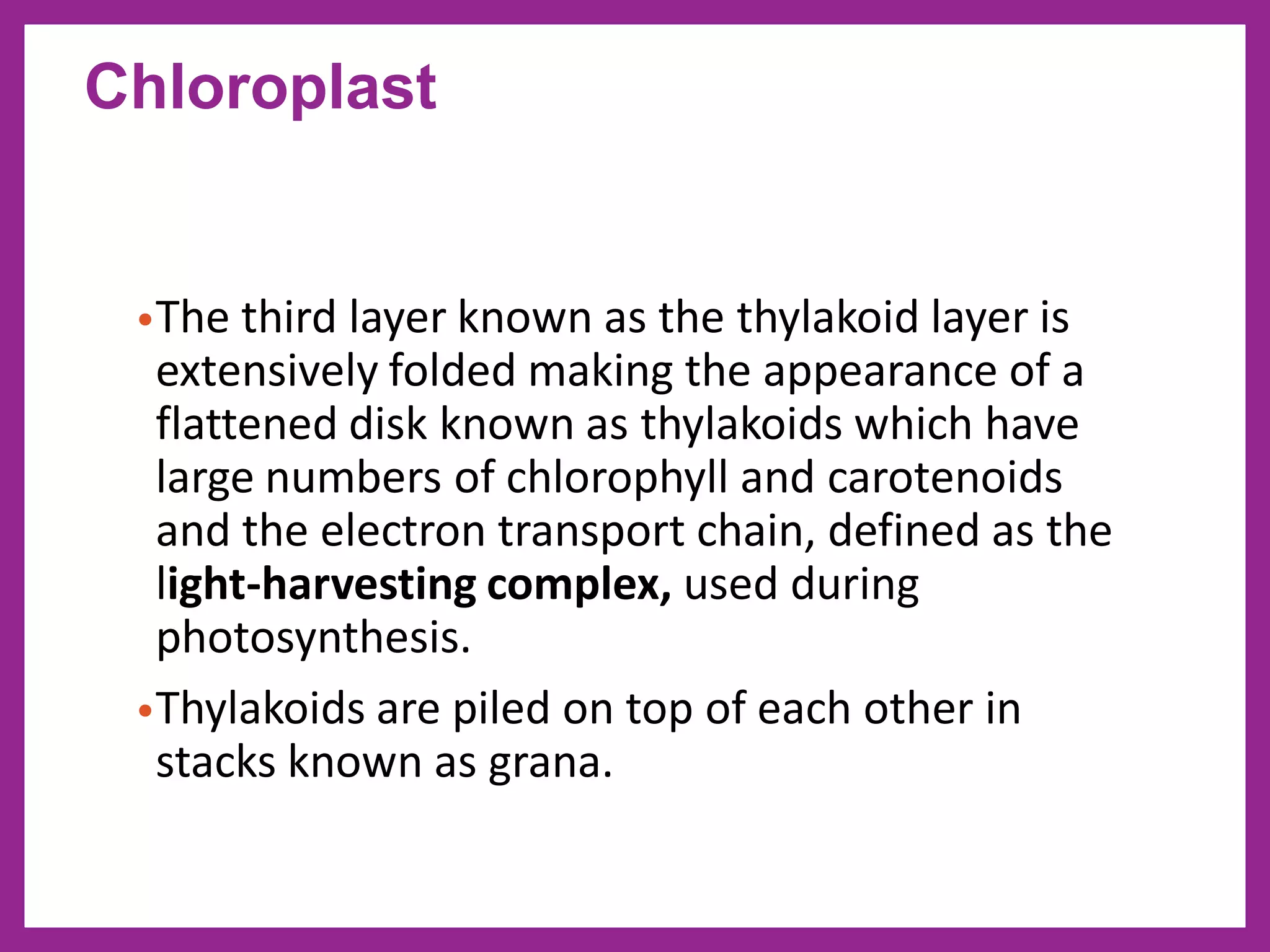 •The third layer known as the thylakoid layer is
extensively folded making the appearance of a
flattened disk known as thylakoids which have
large numbers of chlorophyll and carotenoids
and the electron transport chain, defined as the
light-harvesting complex, used during
photosynthesis.
•Thylakoids are piled on top of each other in
stacks known as grana.
Chloroplast
 