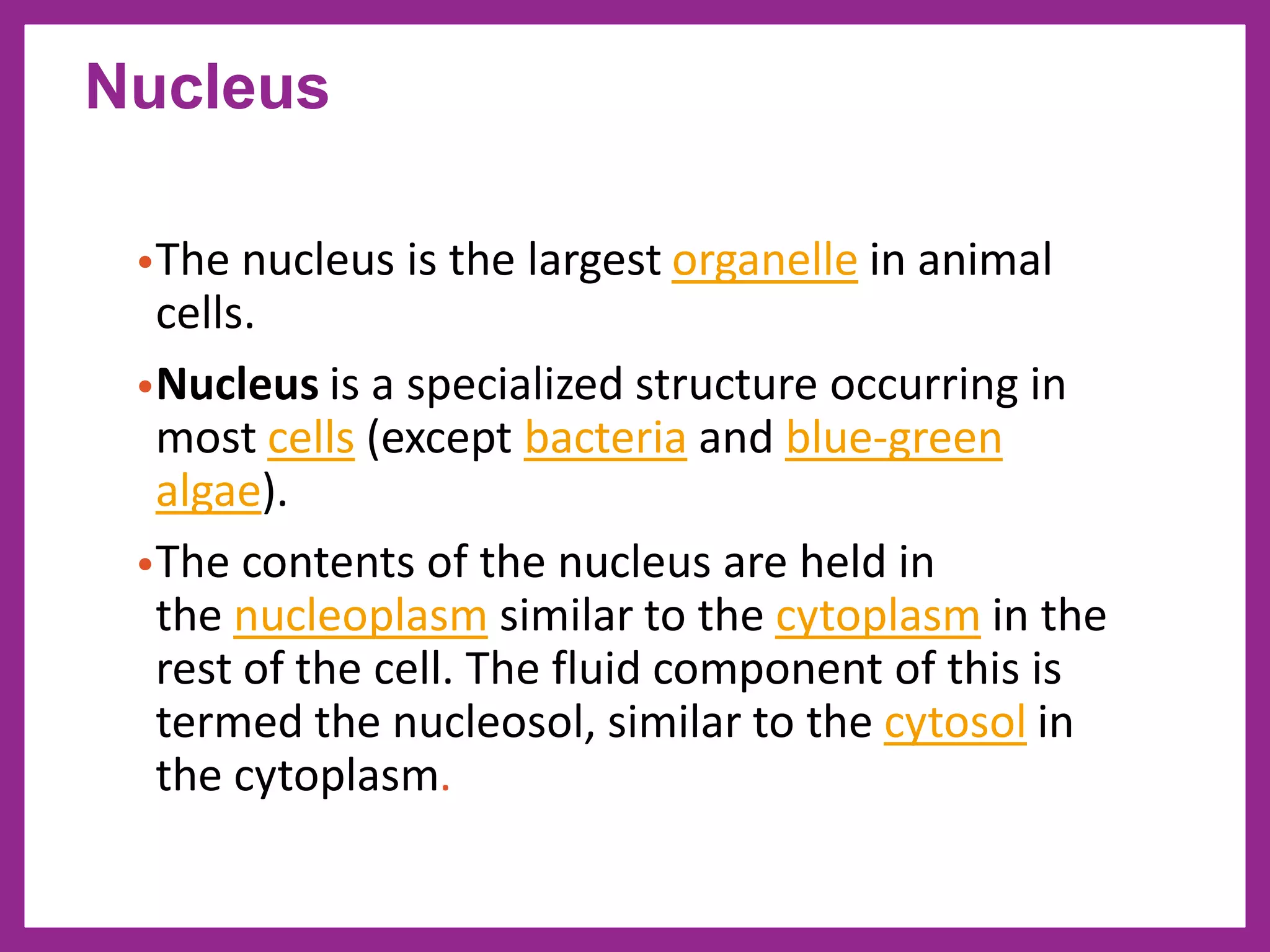 Nucleus
•The nucleus is the largest organelle in animal
cells.
•Nucleus is a specialized structure occurring in
most cells (except bacteria and blue-green
algae).
•The contents of the nucleus are held in
the nucleoplasm similar to the cytoplasm in the
rest of the cell. The fluid component of this is
termed the nucleosol, similar to the cytosol in
the cytoplasm.
 