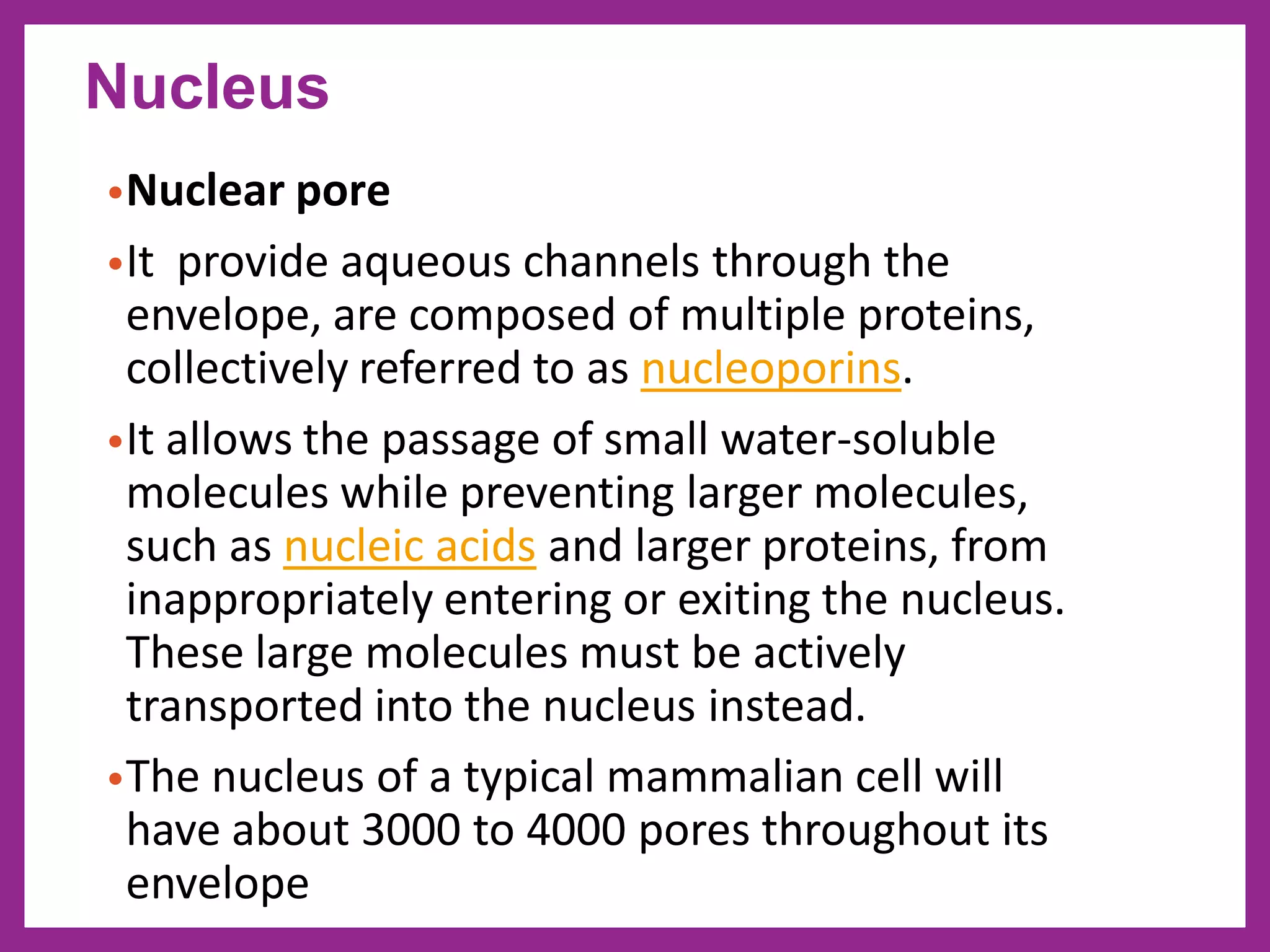 •Nuclear pore
•It provide aqueous channels through the
envelope, are composed of multiple proteins,
collectively referred to as nucleoporins.
•It allows the passage of small water-soluble
molecules while preventing larger molecules,
such as nucleic acids and larger proteins, from
inappropriately entering or exiting the nucleus.
These large molecules must be actively
transported into the nucleus instead.
•The nucleus of a typical mammalian cell will
have about 3000 to 4000 pores throughout its
envelope
Nucleus
 