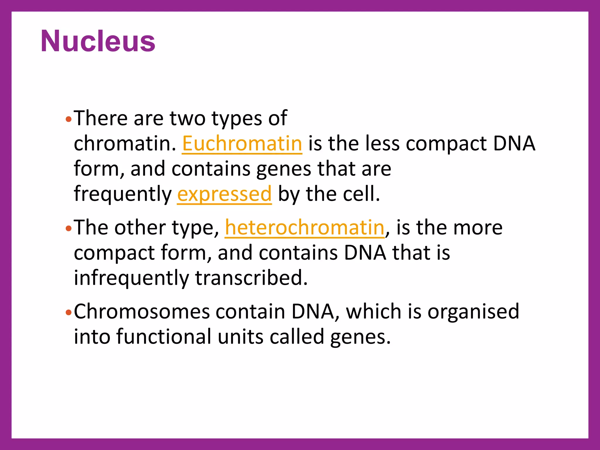 •There are two types of
chromatin. Euchromatin is the less compact DNA
form, and contains genes that are
frequently expressed by the cell.
•The other type, heterochromatin, is the more
compact form, and contains DNA that is
infrequently transcribed.
•Chromosomes contain DNA, which is organised
into functional units called genes.
Nucleus
 