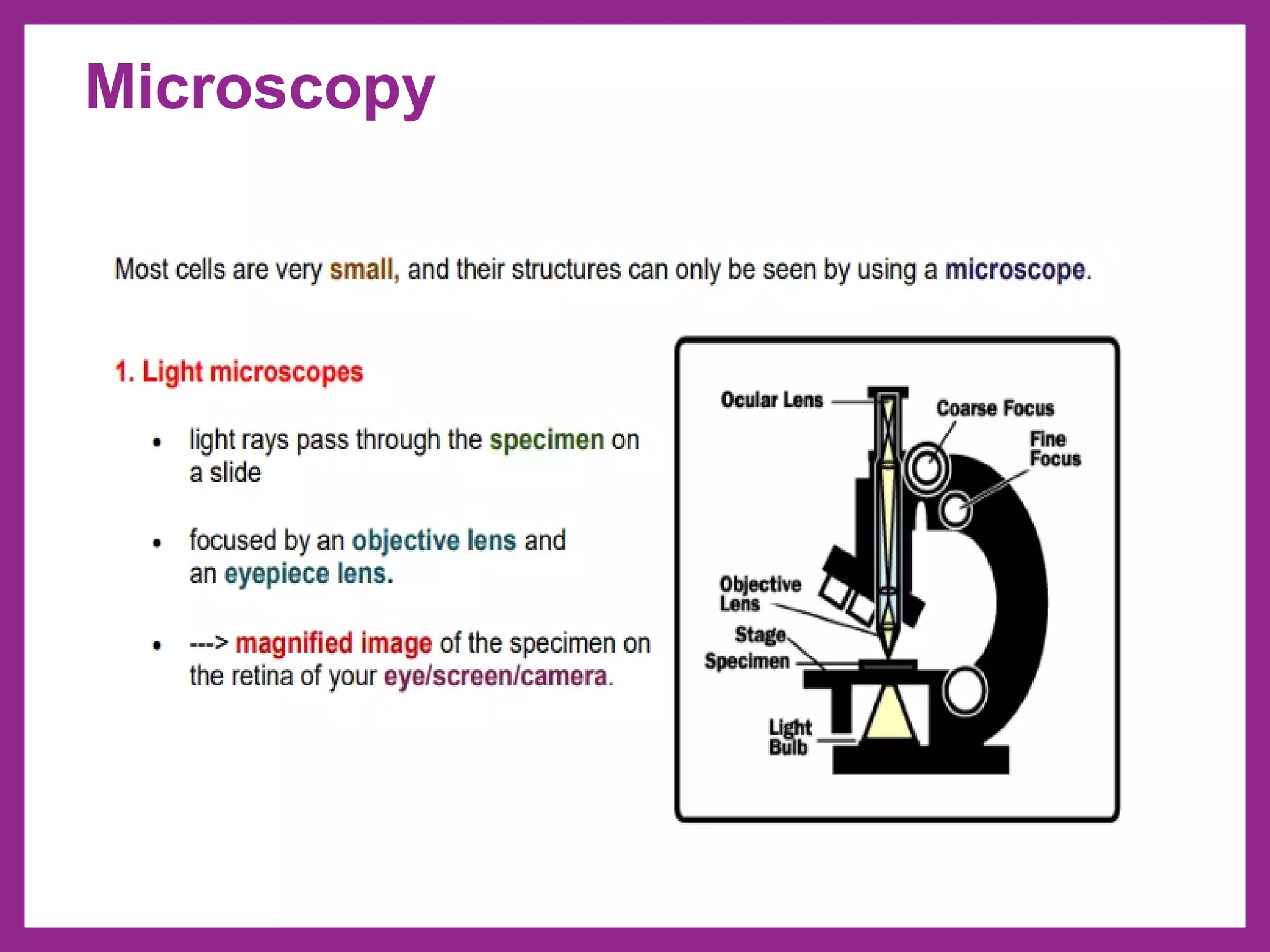 Microscopy
 