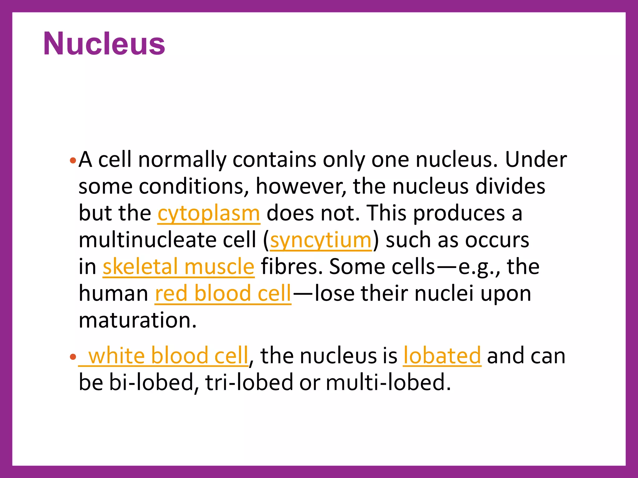 •A cell normally contains only one nucleus. Under
some conditions, however, the nucleus divides
but the cytoplasm does not. This produces a
multinucleate cell (syncytium) such as occurs
in skeletal muscle fibres. Some cells—e.g., the
human red blood cell—lose their nuclei upon
maturation.
• white blood cell, the nucleus is lobated and can
be bi-lobed, tri-lobed or multi-lobed.
Nucleus
 