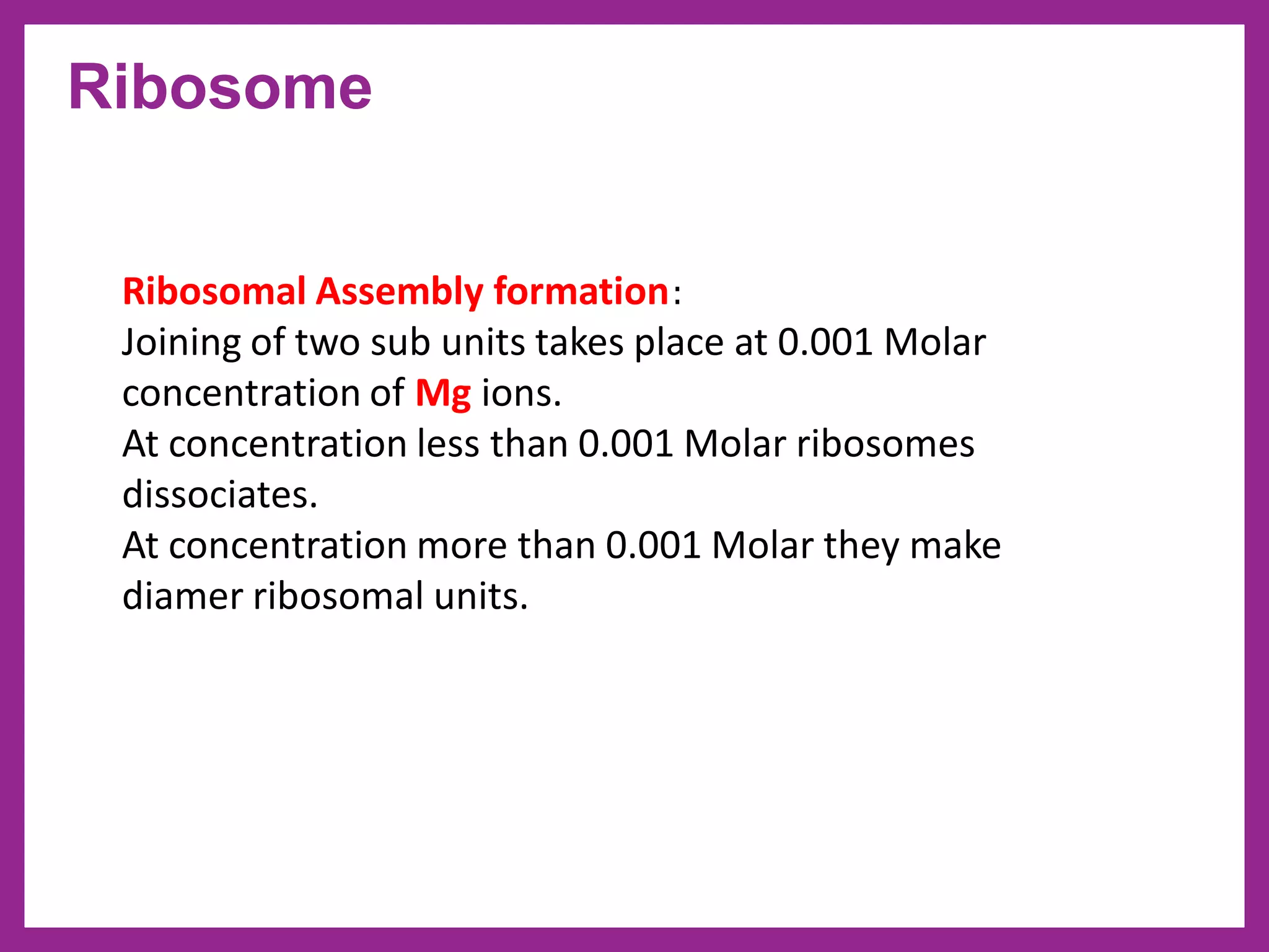 Ribosome
Ribosomal Assembly formation:
Joining of two sub units takes place at 0.001 Molar
concentration of Mg ions.
At concentration less than 0.001 Molar ribosomes
dissociates.
At concentration more than 0.001 Molar they make
diamer ribosomal units.
 