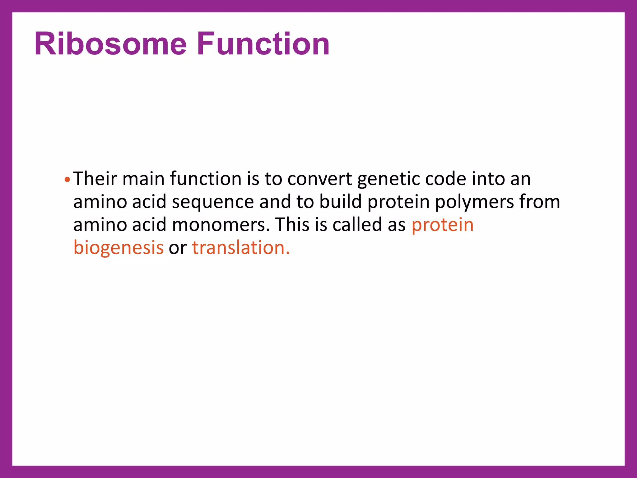 •Their main function is to convert genetic code into an
amino acid sequence and to build protein polymers from
amino acid monomers. This is called as protein
biogenesis or translation.
Ribosome Function
 