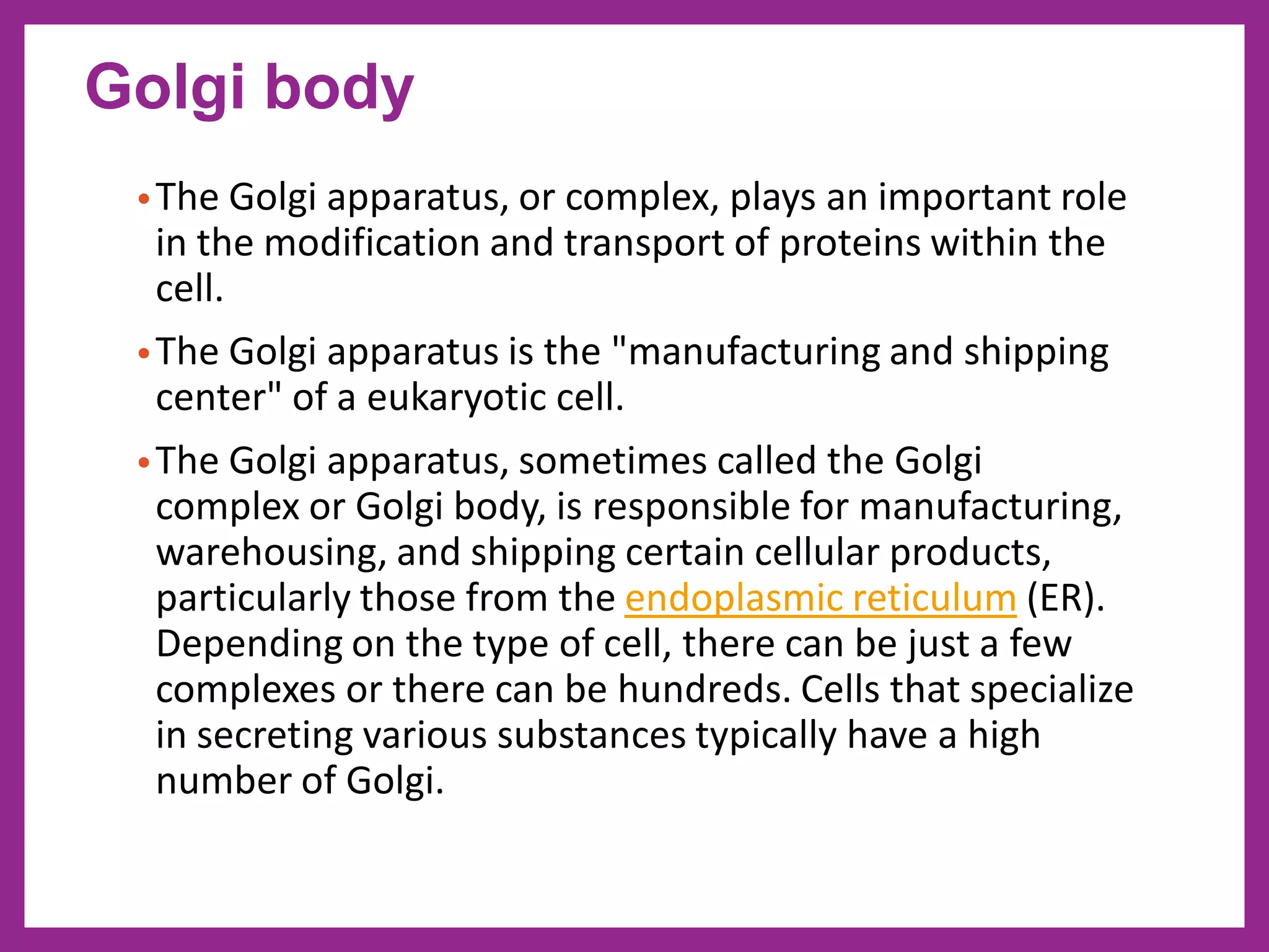 •The Golgi apparatus, or complex, plays an important role
in the modification and transport of proteins within the
cell.
•The Golgi apparatus is the "manufacturing and shipping
center" of a eukaryotic cell.
•The Golgi apparatus, sometimes called the Golgi
complex or Golgi body, is responsible for manufacturing,
warehousing, and shipping certain cellular products,
particularly those from the endoplasmic reticulum (ER).
Depending on the type of cell, there can be just a few
complexes or there can be hundreds. Cells that specialize
in secreting various substances typically have a high
number of Golgi.
Golgi body
 