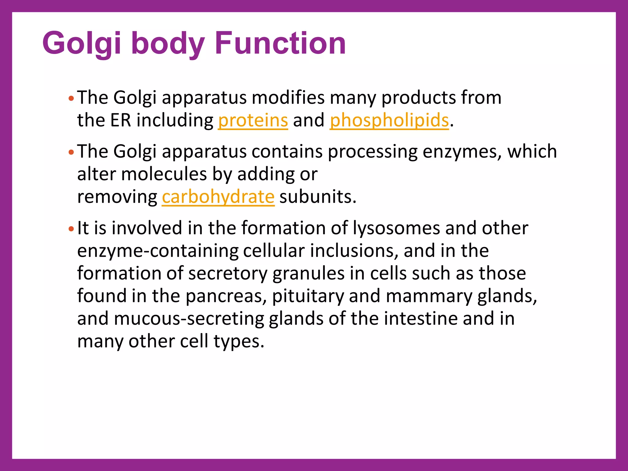 •The Golgi apparatus modifies many products from
the ER including proteins and phospholipids.
•The Golgi apparatus contains processing enzymes, which
alter molecules by adding or
removing carbohydrate subunits.
•It is involved in the formation of lysosomes and other
enzyme-containing cellular inclusions, and in the
formation of secretory granules in cells such as those
found in the pancreas, pituitary and mammary glands,
and mucous-secreting glands of the intestine and in
many other cell types.
Golgi body Function
 