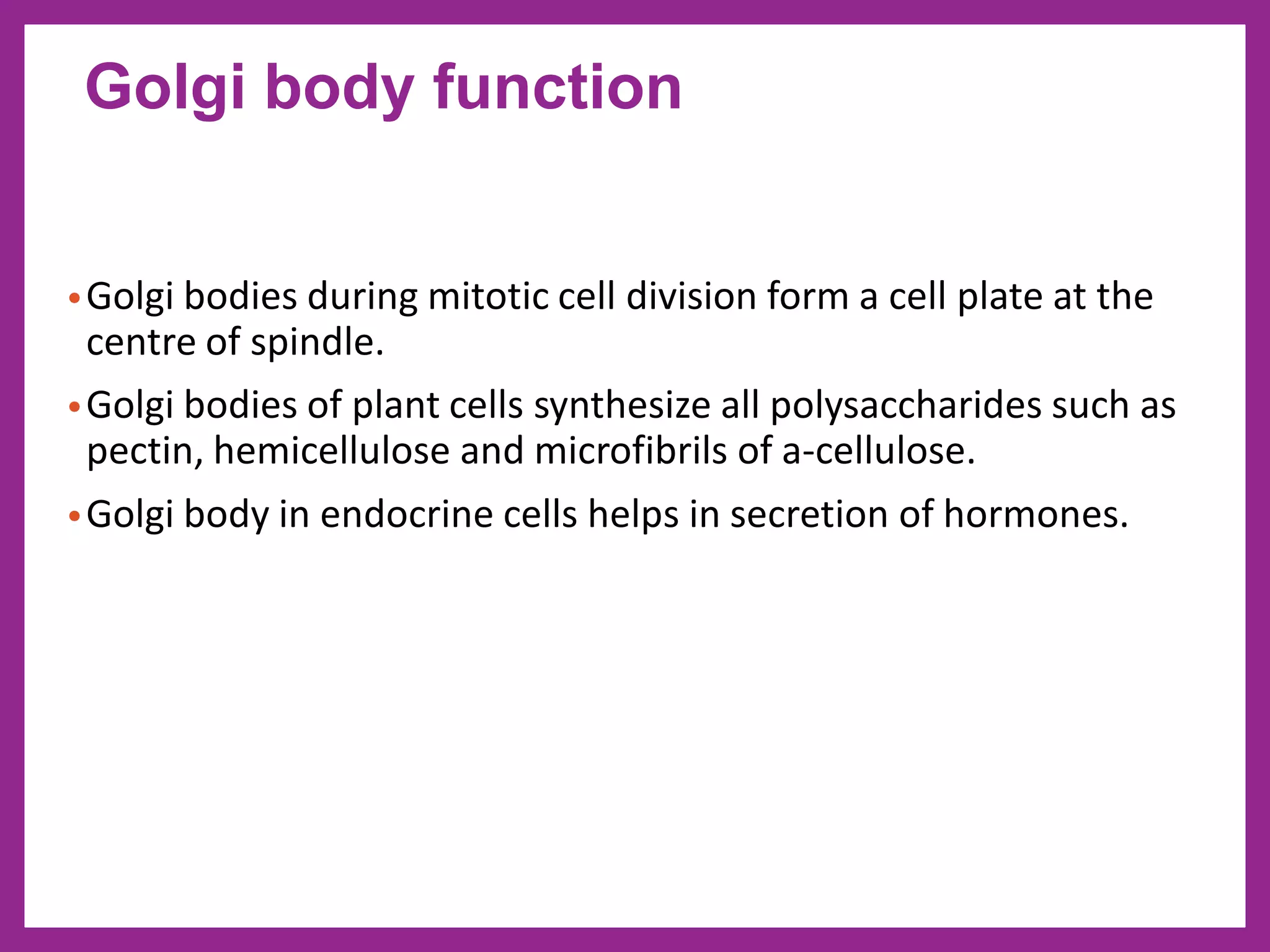 •Golgi bodies during mitotic cell division form a cell plate at the
centre of spindle.
•Golgi bodies of plant cells synthesize all polysaccharides such as
pectin, hemicellulose and microfibrils of a-cellulose.
•Golgi body in endocrine cells helps in secretion of hormones.
Golgi body function
 