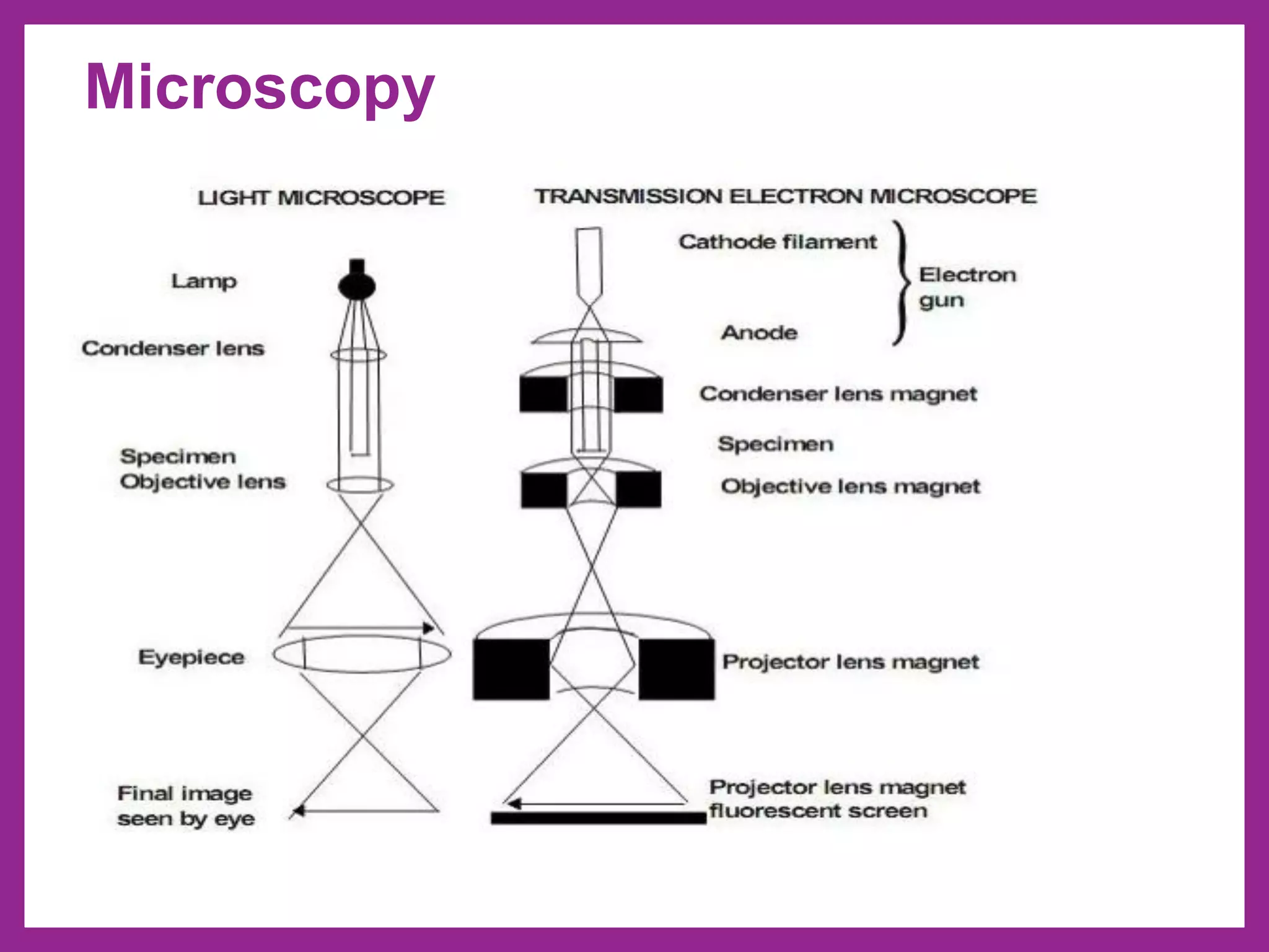Microscopy
 