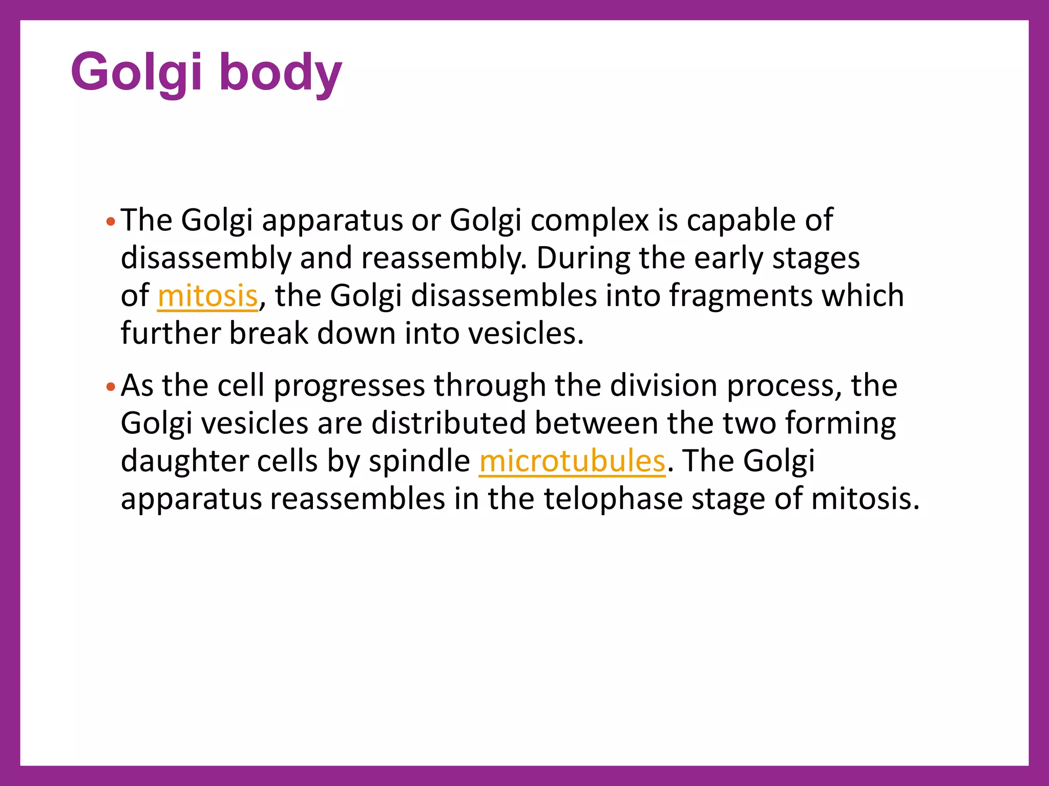 •The Golgi apparatus or Golgi complex is capable of
disassembly and reassembly. During the early stages
of mitosis, the Golgi disassembles into fragments which
further break down into vesicles.
•As the cell progresses through the division process, the
Golgi vesicles are distributed between the two forming
daughter cells by spindle microtubules. The Golgi
apparatus reassembles in the telophase stage of mitosis.
Golgi body
 