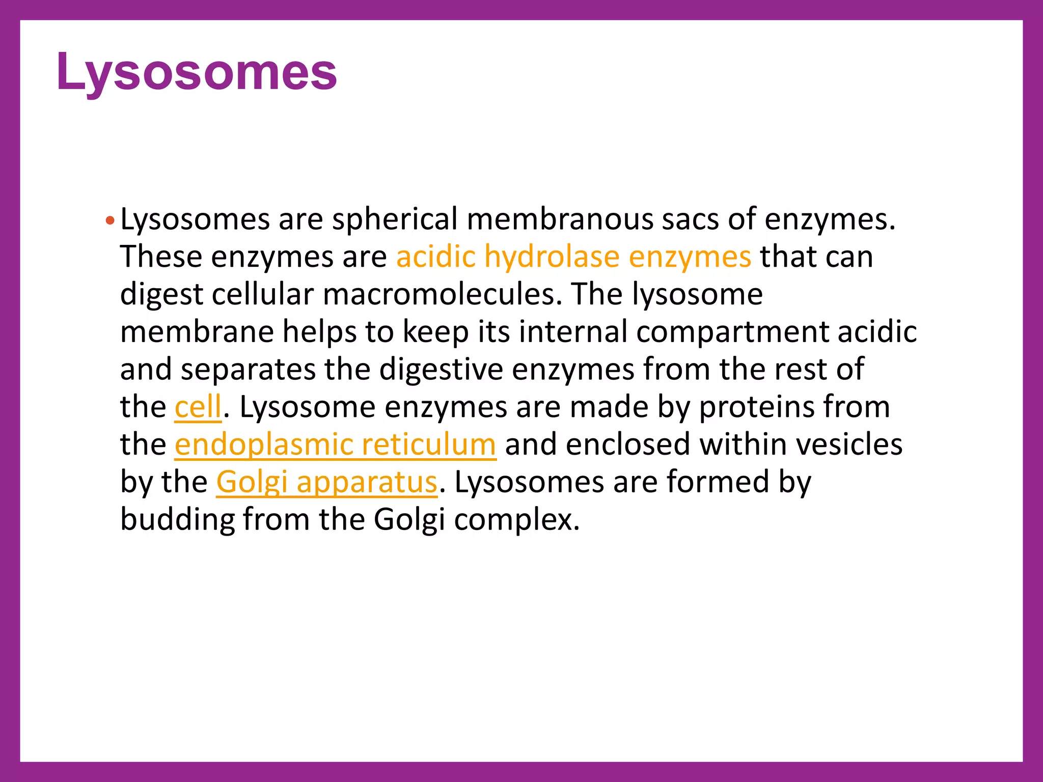 •Lysosomes are spherical membranous sacs of enzymes.
These enzymes are acidic hydrolase enzymes that can
digest cellular macromolecules. The lysosome
membrane helps to keep its internal compartment acidic
and separates the digestive enzymes from the rest of
the cell. Lysosome enzymes are made by proteins from
the endoplasmic reticulum and enclosed within vesicles
by the Golgi apparatus. Lysosomes are formed by
budding from the Golgi complex.
Lysosomes
 