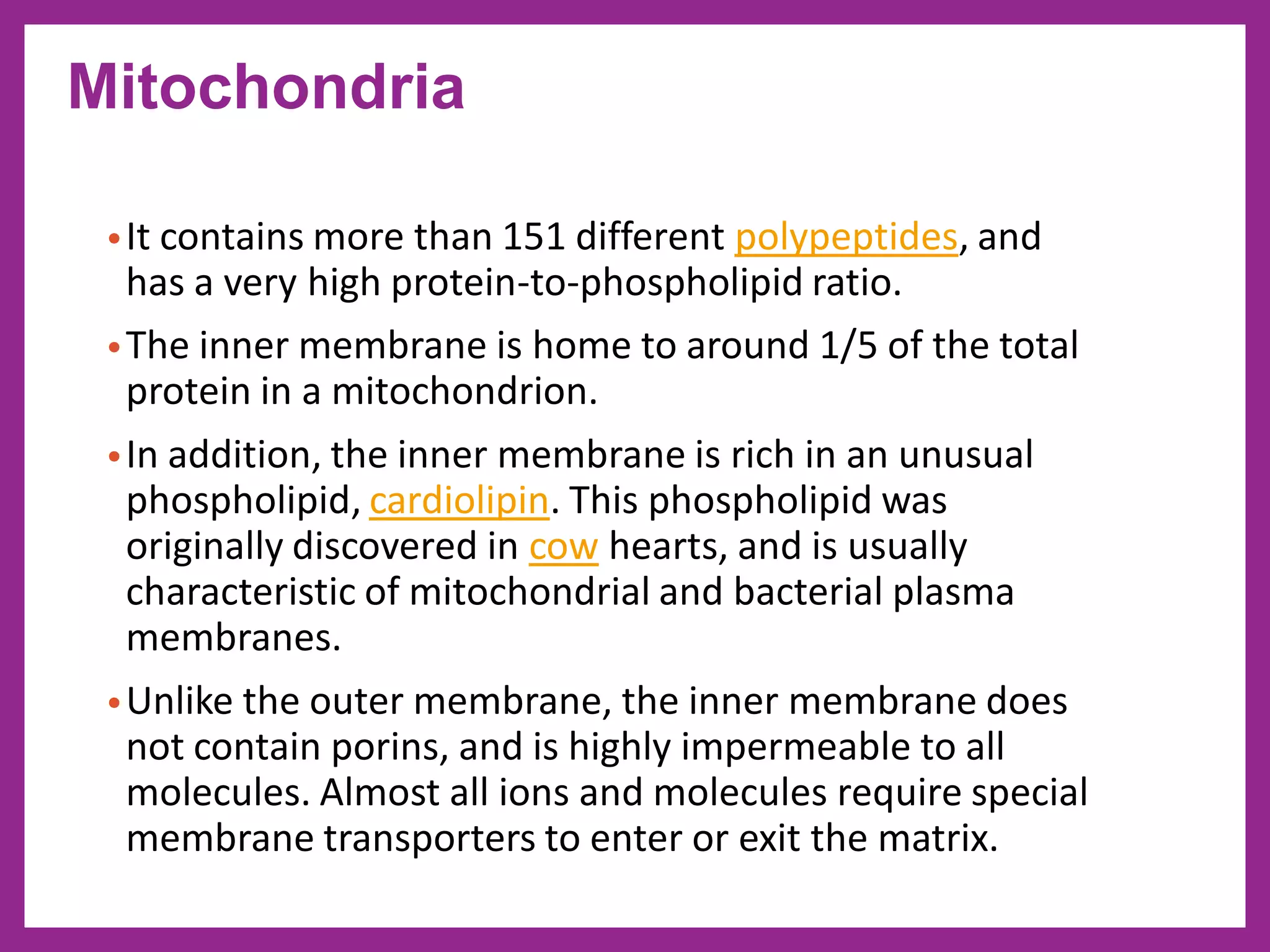 •It contains more than 151 different polypeptides, and
has a very high protein-to-phospholipid ratio.
•The inner membrane is home to around 1/5 of the total
protein in a mitochondrion.
•In addition, the inner membrane is rich in an unusual
phospholipid, cardiolipin. This phospholipid was
originally discovered in cow hearts, and is usually
characteristic of mitochondrial and bacterial plasma
membranes.
•Unlike the outer membrane, the inner membrane does
not contain porins, and is highly impermeable to all
molecules. Almost all ions and molecules require special
membrane transporters to enter or exit the matrix.
Mitochondria
 