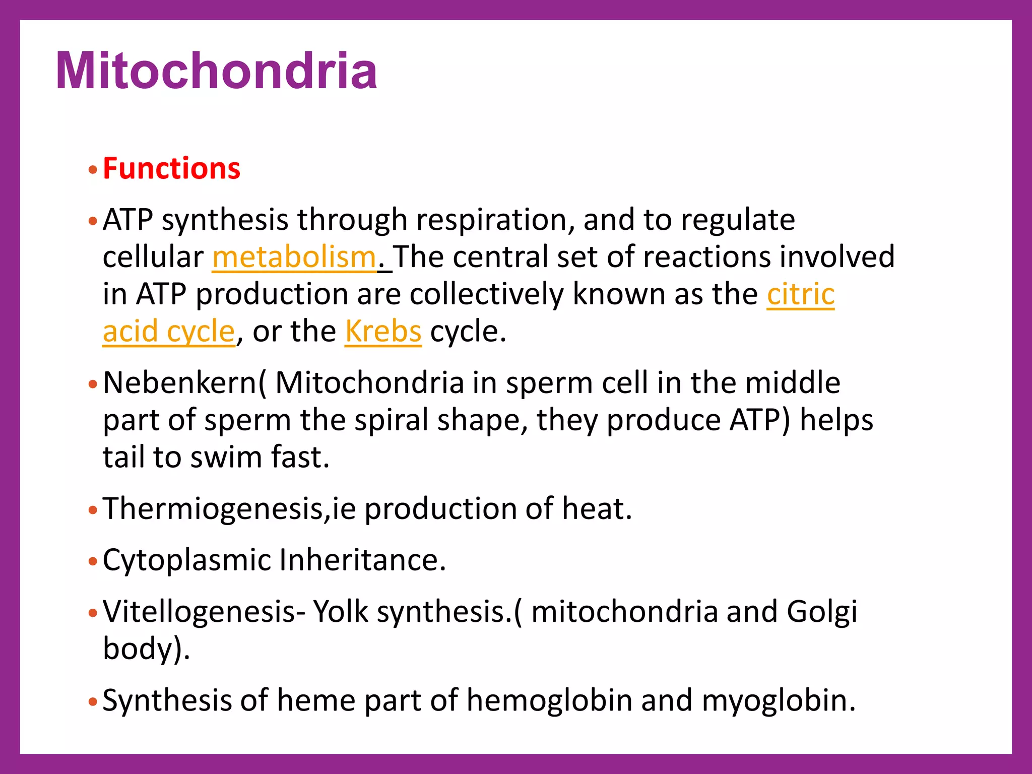 •Functions
•ATP synthesis through respiration, and to regulate
cellular metabolism. The central set of reactions involved
in ATP production are collectively known as the citric
acid cycle, or the Krebs cycle.
•Nebenkern( Mitochondria in sperm cell in the middle
part of sperm the spiral shape, they produce ATP) helps
tail to swim fast.
•Thermiogenesis,ie production of heat.
•Cytoplasmic Inheritance.
•Vitellogenesis- Yolk synthesis.( mitochondria and Golgi
body).
•Synthesis of heme part of hemoglobin and myoglobin.
Mitochondria
 