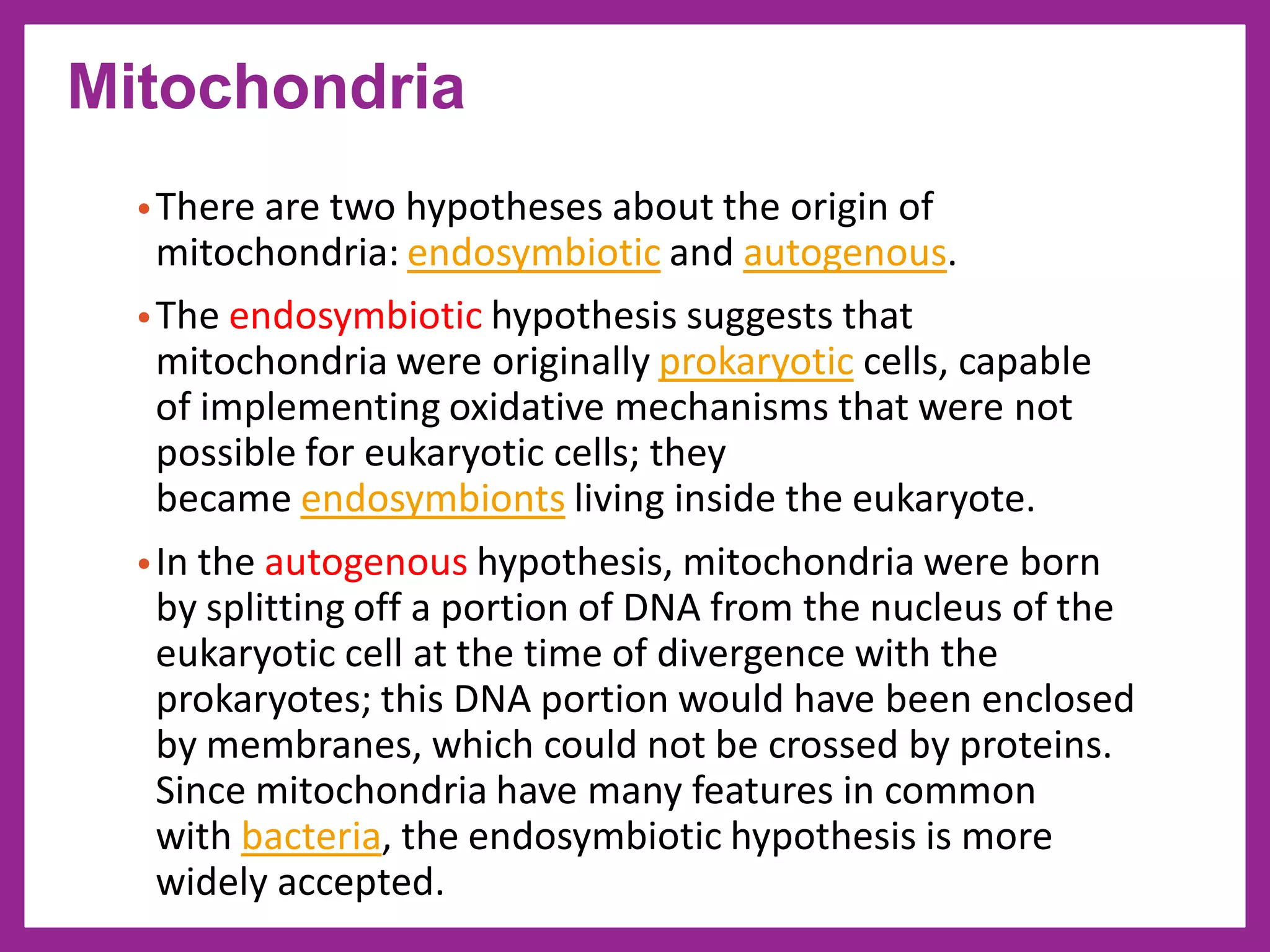 •There are two hypotheses about the origin of
mitochondria: endosymbiotic and autogenous.
•The endosymbiotic hypothesis suggests that
mitochondria were originally prokaryotic cells, capable
of implementing oxidative mechanisms that were not
possible for eukaryotic cells; they
became endosymbionts living inside the eukaryote.
•In the autogenous hypothesis, mitochondria were born
by splitting off a portion of DNA from the nucleus of the
eukaryotic cell at the time of divergence with the
prokaryotes; this DNA portion would have been enclosed
by membranes, which could not be crossed by proteins.
Since mitochondria have many features in common
with bacteria, the endosymbiotic hypothesis is more
widely accepted.
Mitochondria
 