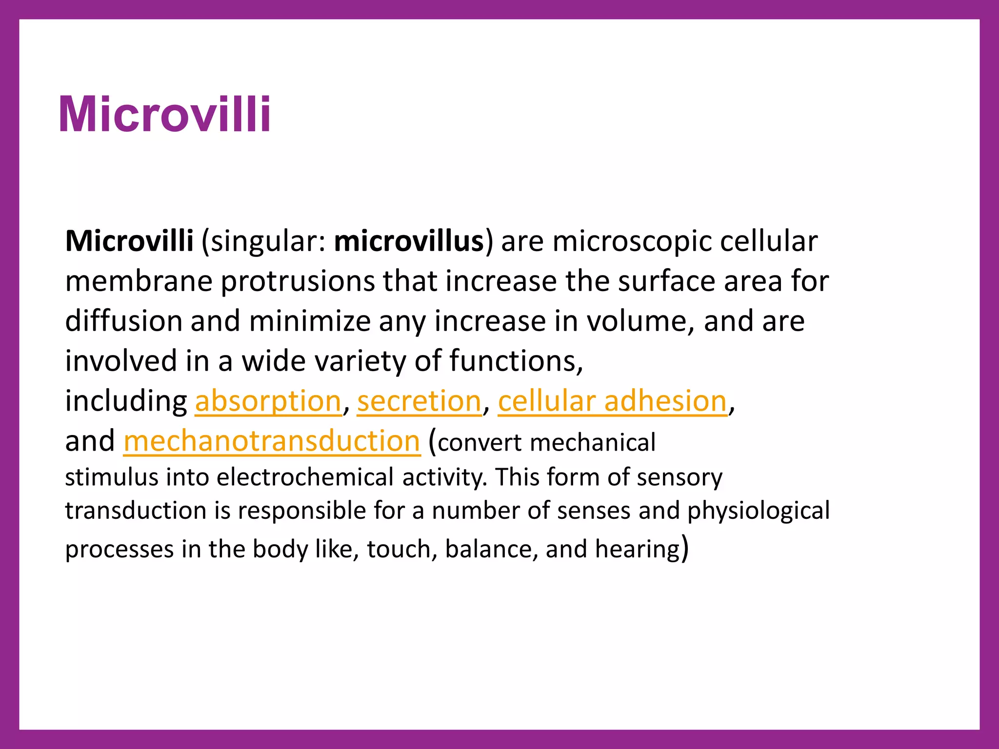 Microvilli (singular: microvillus) are microscopic cellular
membrane protrusions that increase the surface area for
diffusion and minimize any increase in volume, and are
involved in a wide variety of functions,
including absorption, secretion, cellular adhesion,
and mechanotransduction (convert mechanical
stimulus into electrochemical activity. This form of sensory
transduction is responsible for a number of senses and physiological
processes in the body like, touch, balance, and hearing)
Microvilli
 