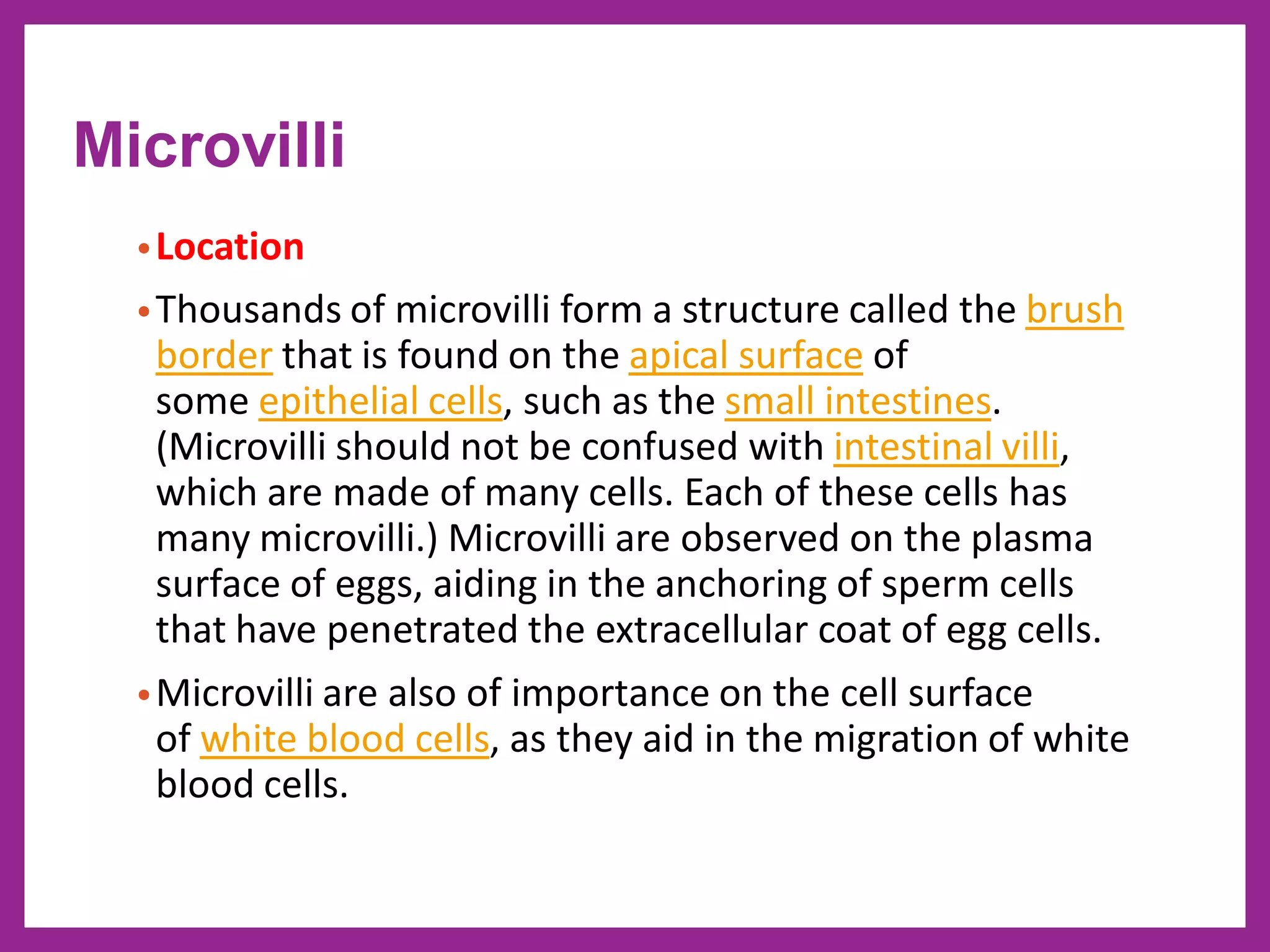 •Location
•Thousands of microvilli form a structure called the brush
border that is found on the apical surface of
some epithelial cells, such as the small intestines.
(Microvilli should not be confused with intestinal villi,
which are made of many cells. Each of these cells has
many microvilli.) Microvilli are observed on the plasma
surface of eggs, aiding in the anchoring of sperm cells
that have penetrated the extracellular coat of egg cells.
•Microvilli are also of importance on the cell surface
of white blood cells, as they aid in the migration of white
blood cells.
Microvilli
 