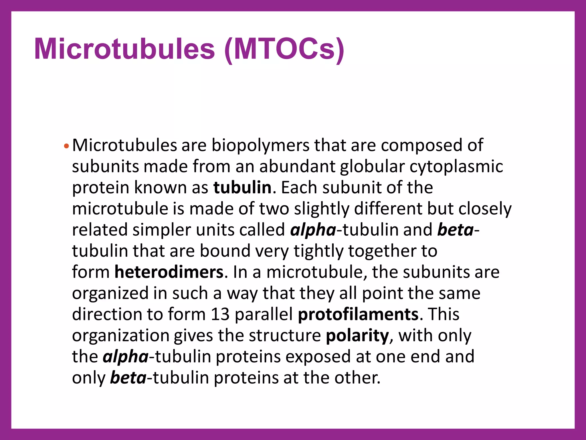 •Microtubules are biopolymers that are composed of
subunits made from an abundant globular cytoplasmic
protein known as tubulin. Each subunit of the
microtubule is made of two slightly different but closely
related simpler units called alpha-tubulin and beta-
tubulin that are bound very tightly together to
form heterodimers. In a microtubule, the subunits are
organized in such a way that they all point the same
direction to form 13 parallel protofilaments. This
organization gives the structure polarity, with only
the alpha-tubulin proteins exposed at one end and
only beta-tubulin proteins at the other.
Microtubules (MTOCs)
 