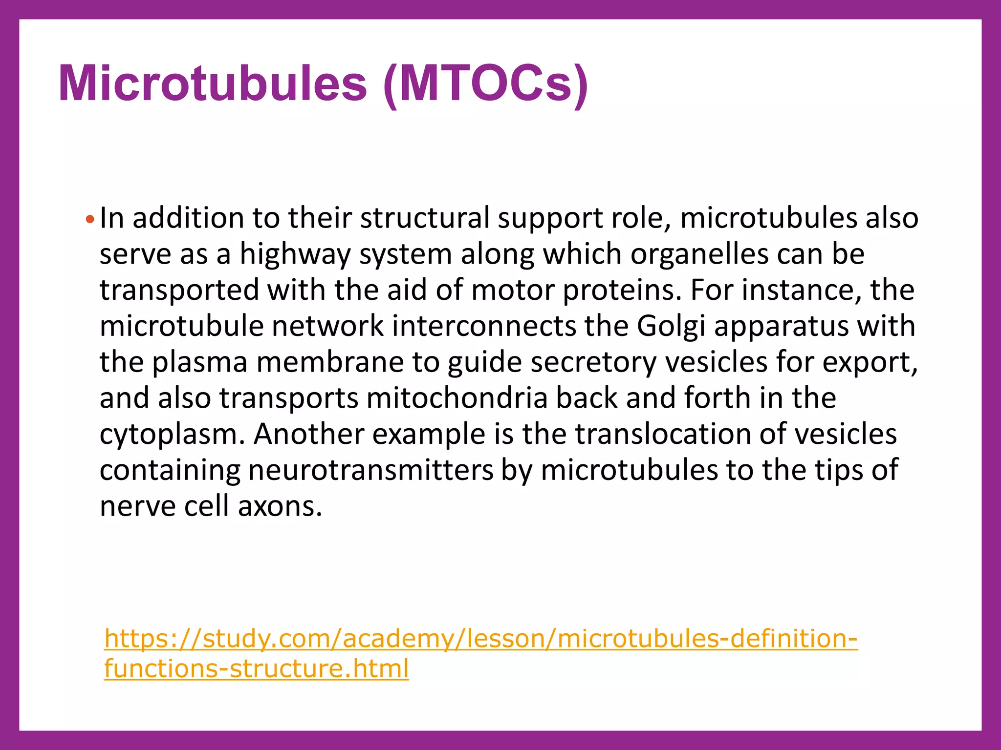 •In addition to their structural support role, microtubules also
serve as a highway system along which organelles can be
transported with the aid of motor proteins. For instance, the
microtubule network interconnects the Golgi apparatus with
the plasma membrane to guide secretory vesicles for export,
and also transports mitochondria back and forth in the
cytoplasm. Another example is the translocation of vesicles
containing neurotransmitters by microtubules to the tips of
nerve cell axons.
Microtubules (MTOCs)
https://study.com/academy/lesson/microtubules-definition-
functions-structure.html
 