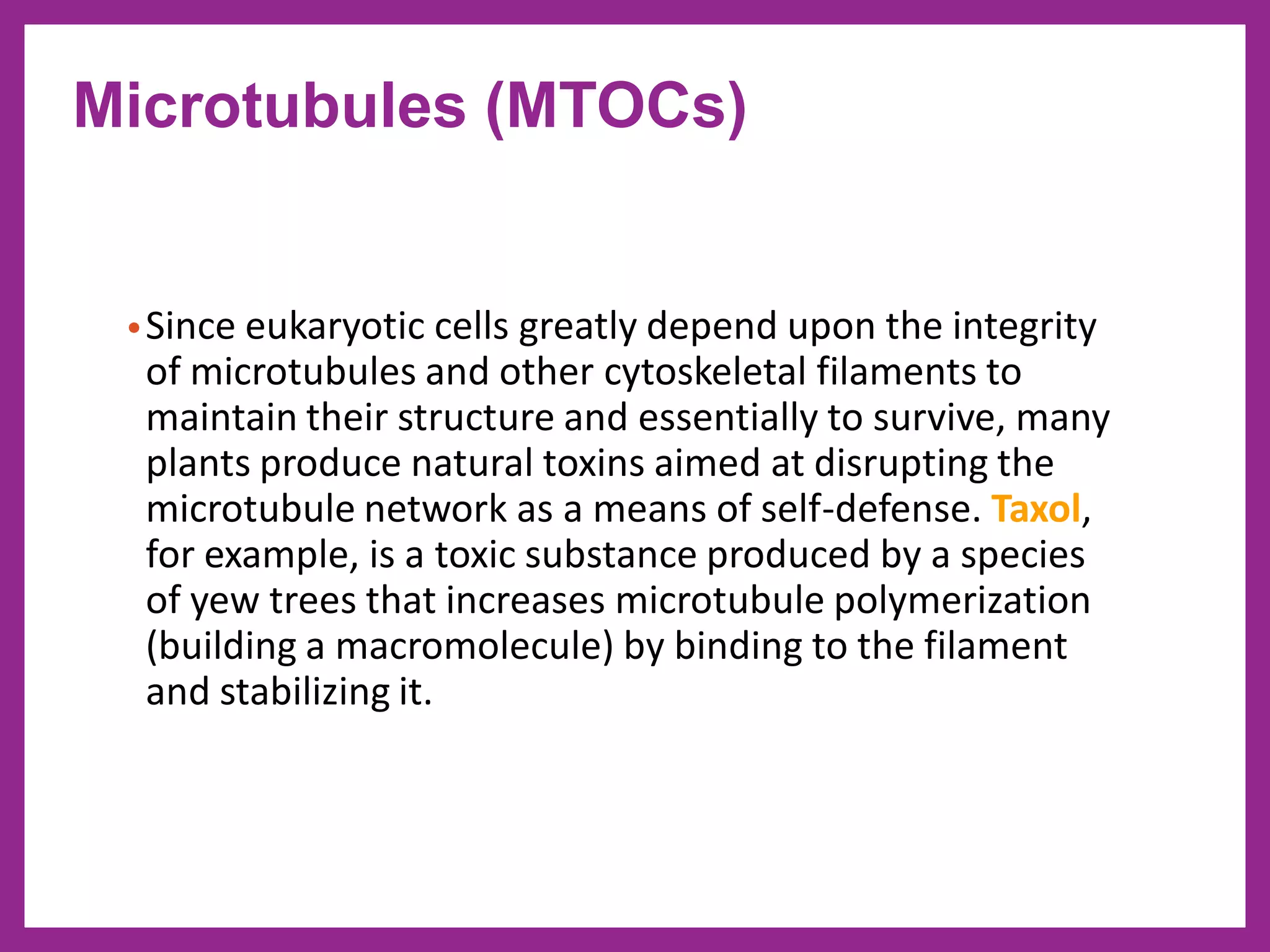 •Since eukaryotic cells greatly depend upon the integrity
of microtubules and other cytoskeletal filaments to
maintain their structure and essentially to survive, many
plants produce natural toxins aimed at disrupting the
microtubule network as a means of self-defense. Taxol,
for example, is a toxic substance produced by a species
of yew trees that increases microtubule polymerization
(building a macromolecule) by binding to the filament
and stabilizing it.
Microtubules (MTOCs)
 