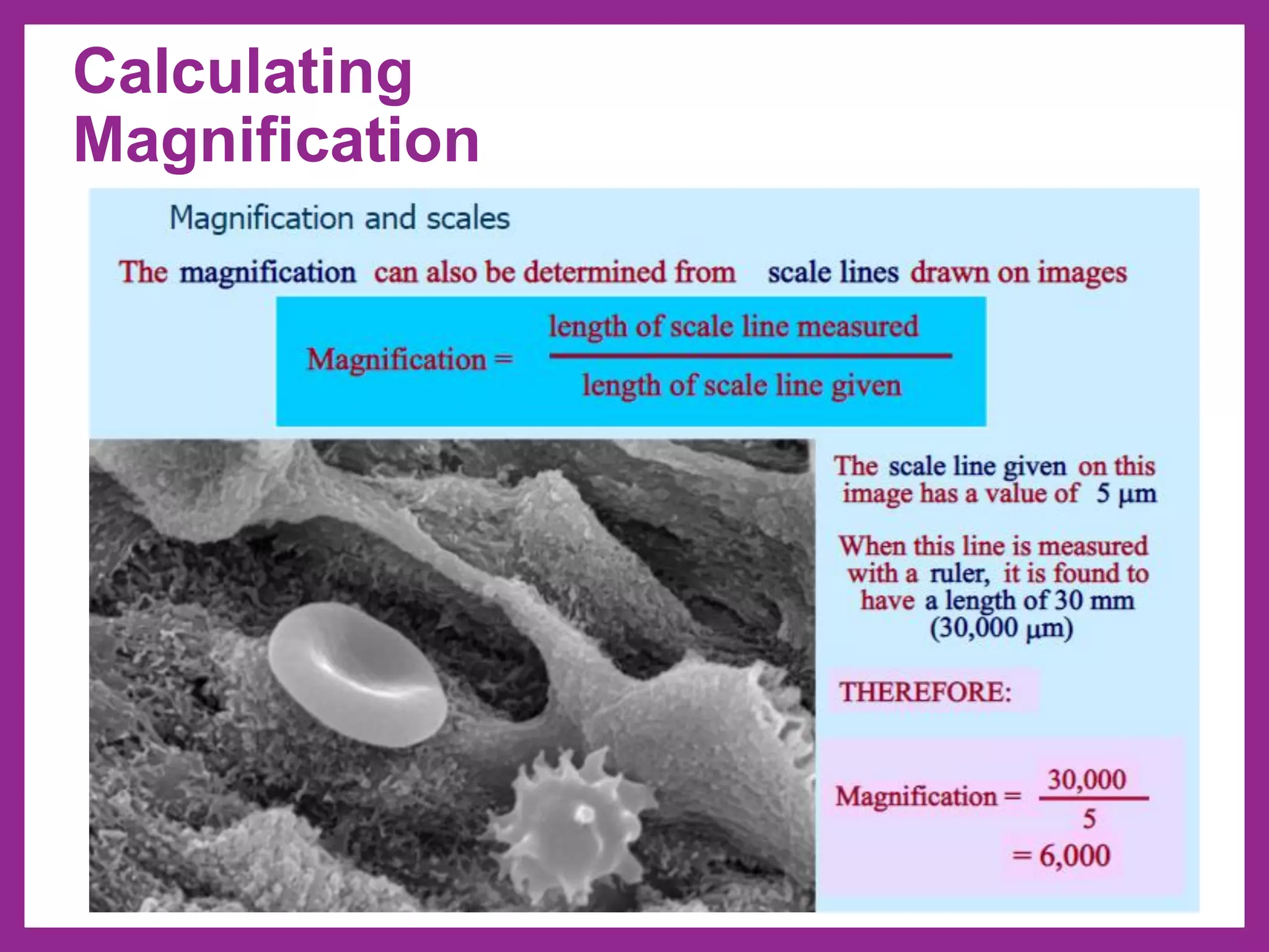 Calculating
Magnification
 