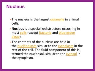Cell structure | PDF