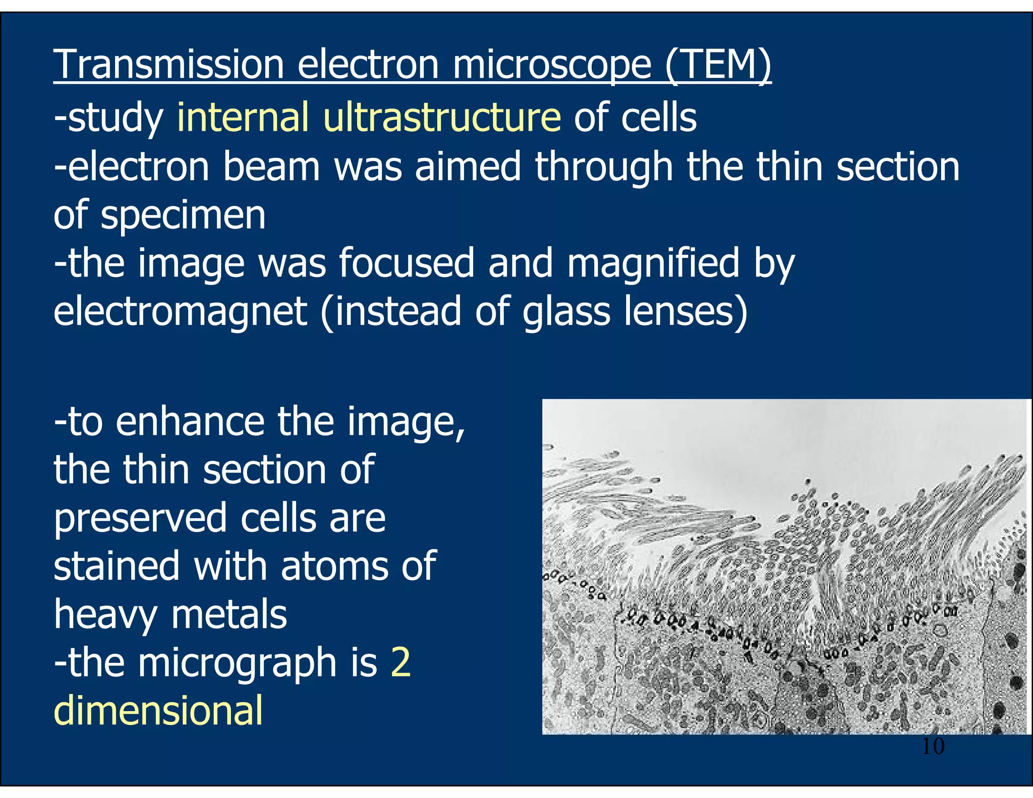 10
Transmission electron microscope (TEM)
-study internal ultrastructure of cells
-electron beam was aimed through the thin section
of specimen
-the image was focused and magnified by
electromagnet (instead of glass lenses)
-to enhance the image,
the thin section of
preserved cells are
stained with atoms of
heavy metals
-the micrograph is 2
dimensional
 