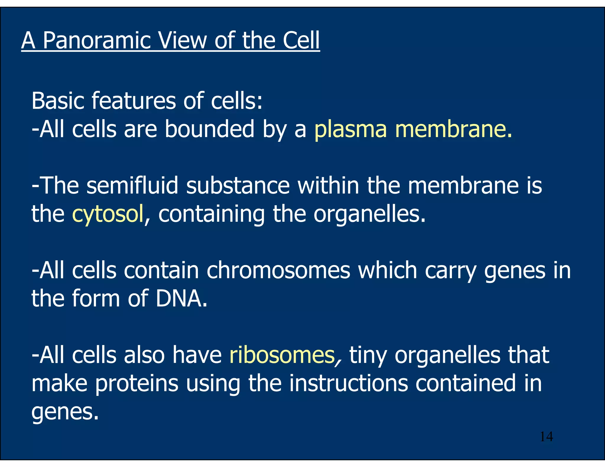 14
A Panoramic View of the Cell
Basic features of cells:
-All cells are bounded by a plasma membrane.
-The semifluid substance within the membrane is
the cytosol, containing the organelles.
-All cells contain chromosomes which carry genes in
the form of DNA.
-All cells also have ribosomes, tiny organelles that
make proteins using the instructions contained in
genes.
 